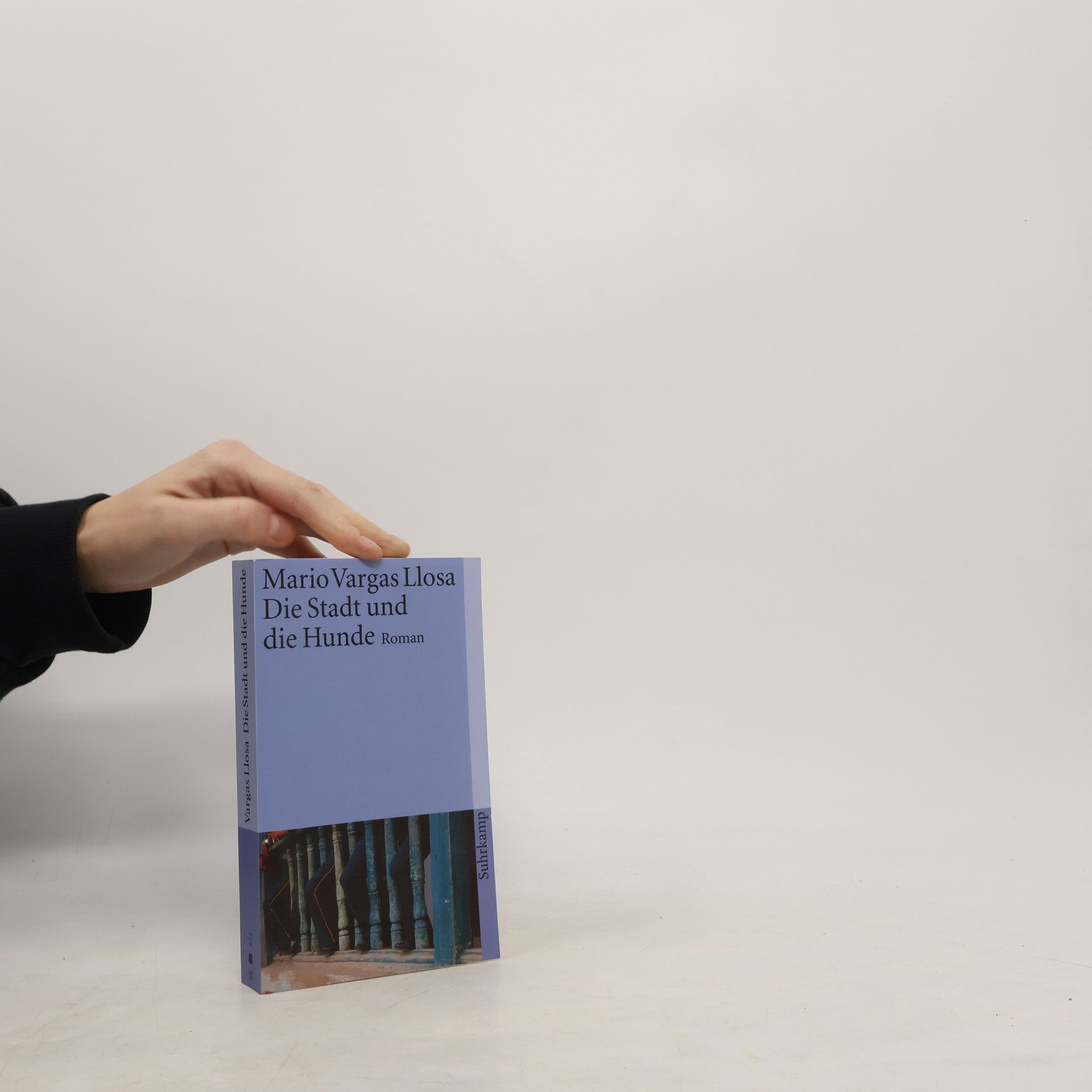 Mario Vargas Llosa Die Stadt und die Hunde: Roman