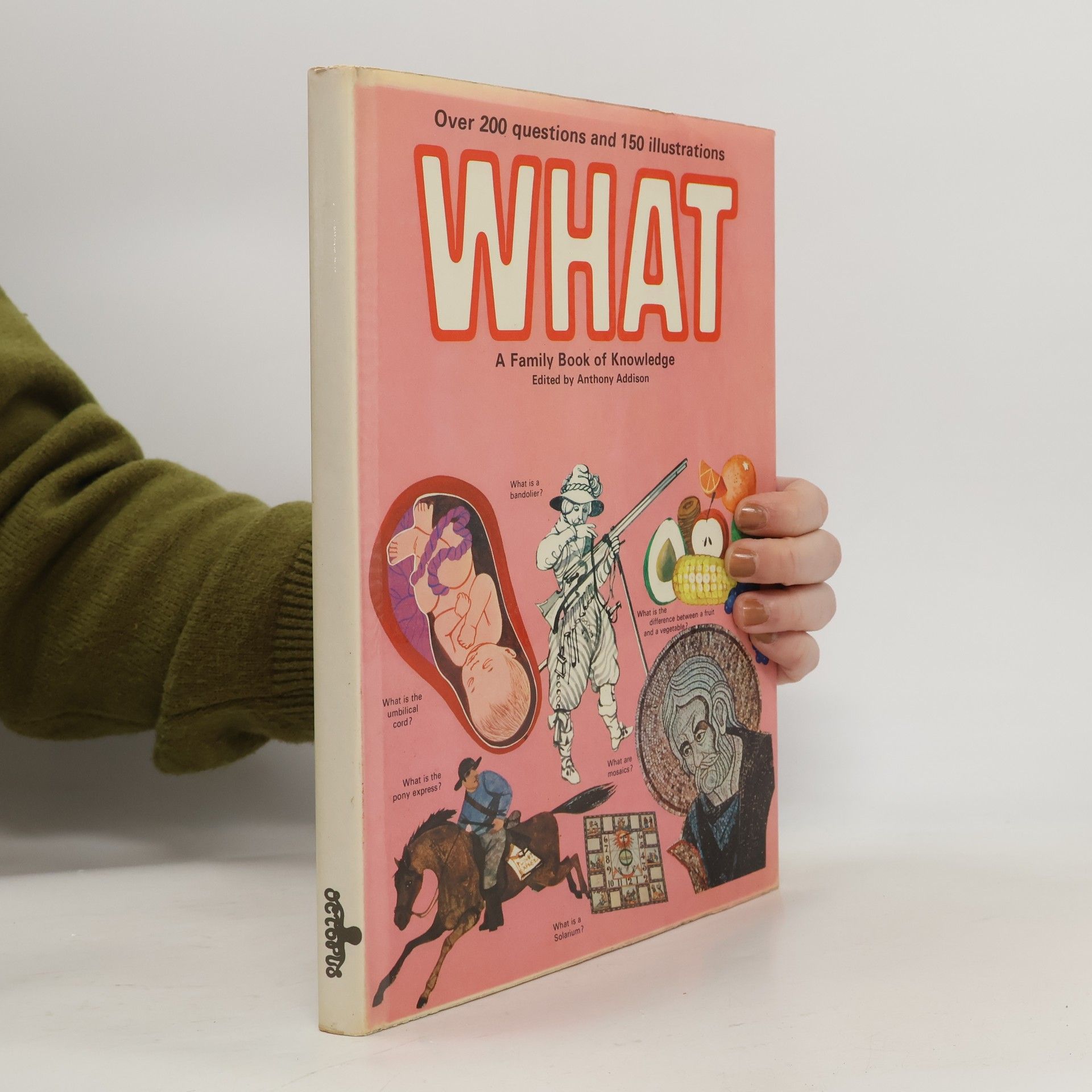 Anthony Addison What. A family book of knowledge