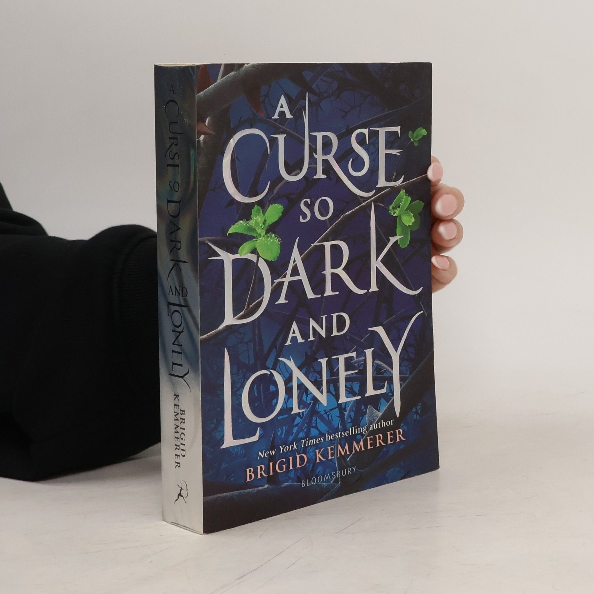 Brigid Kemmerer A curse so dark and lonely (1. díl série)