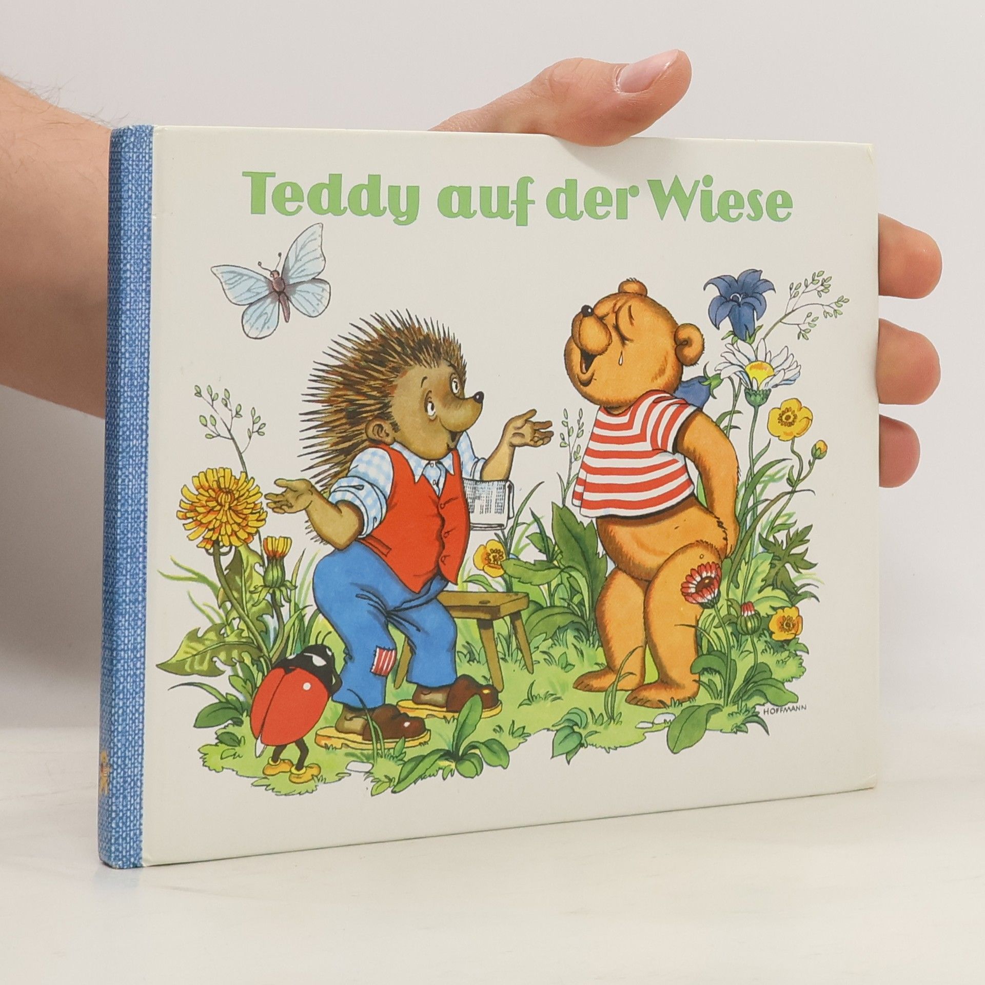 Kolektiv autorů Teddy auf der Wiese