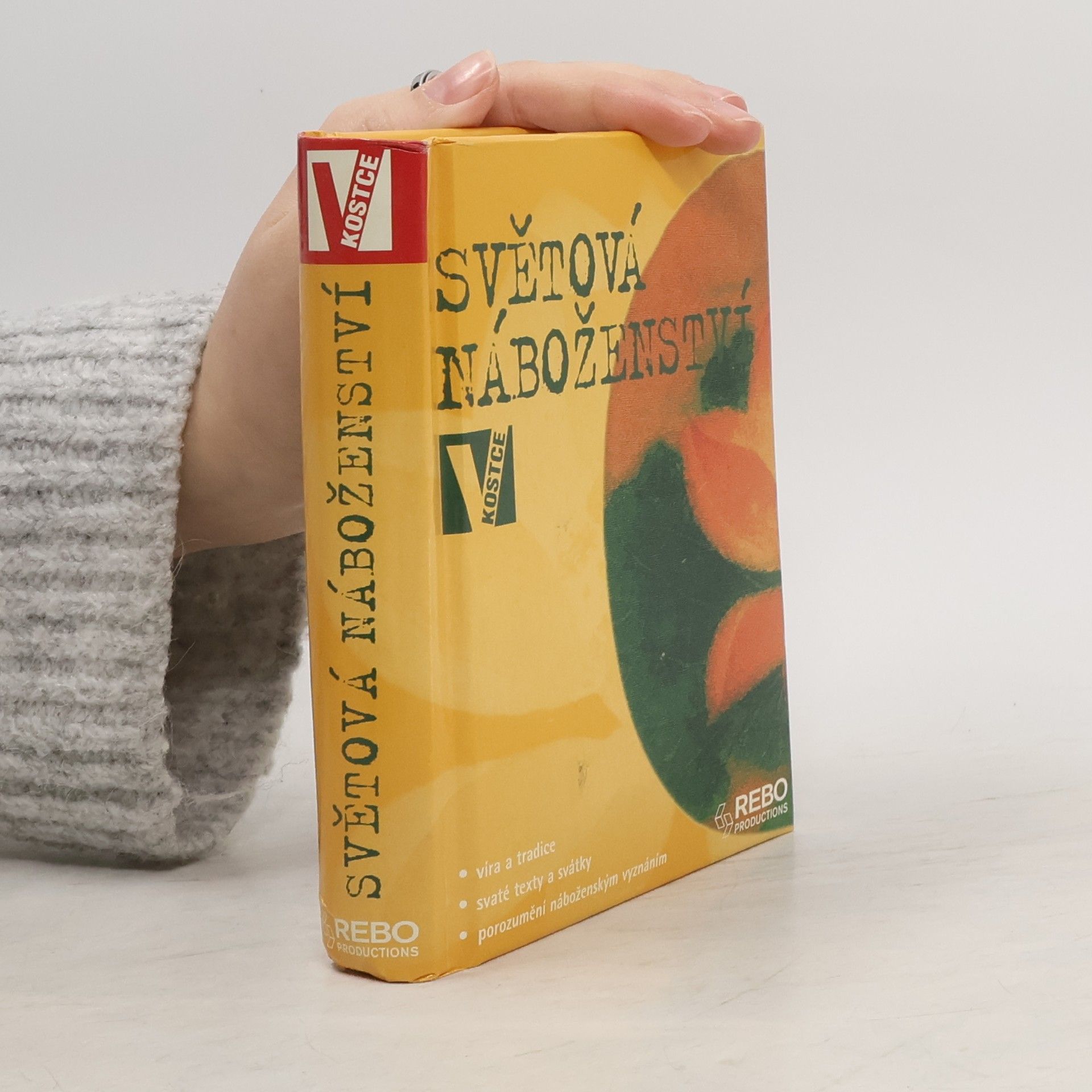 Seán McLoughlin Světová náboženství v kostce