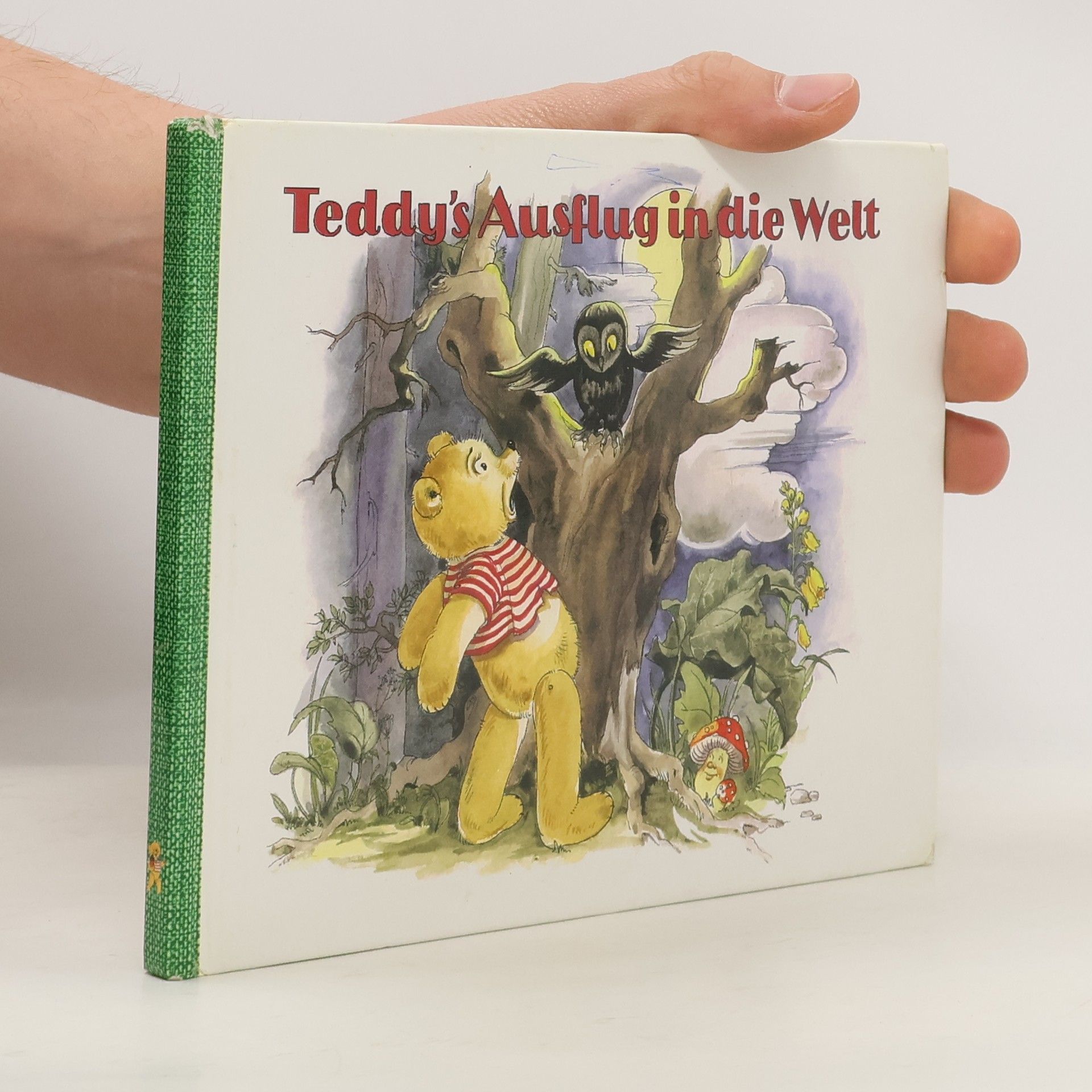 Kolektiv autorů Teddy´s Ausflug in die Welt