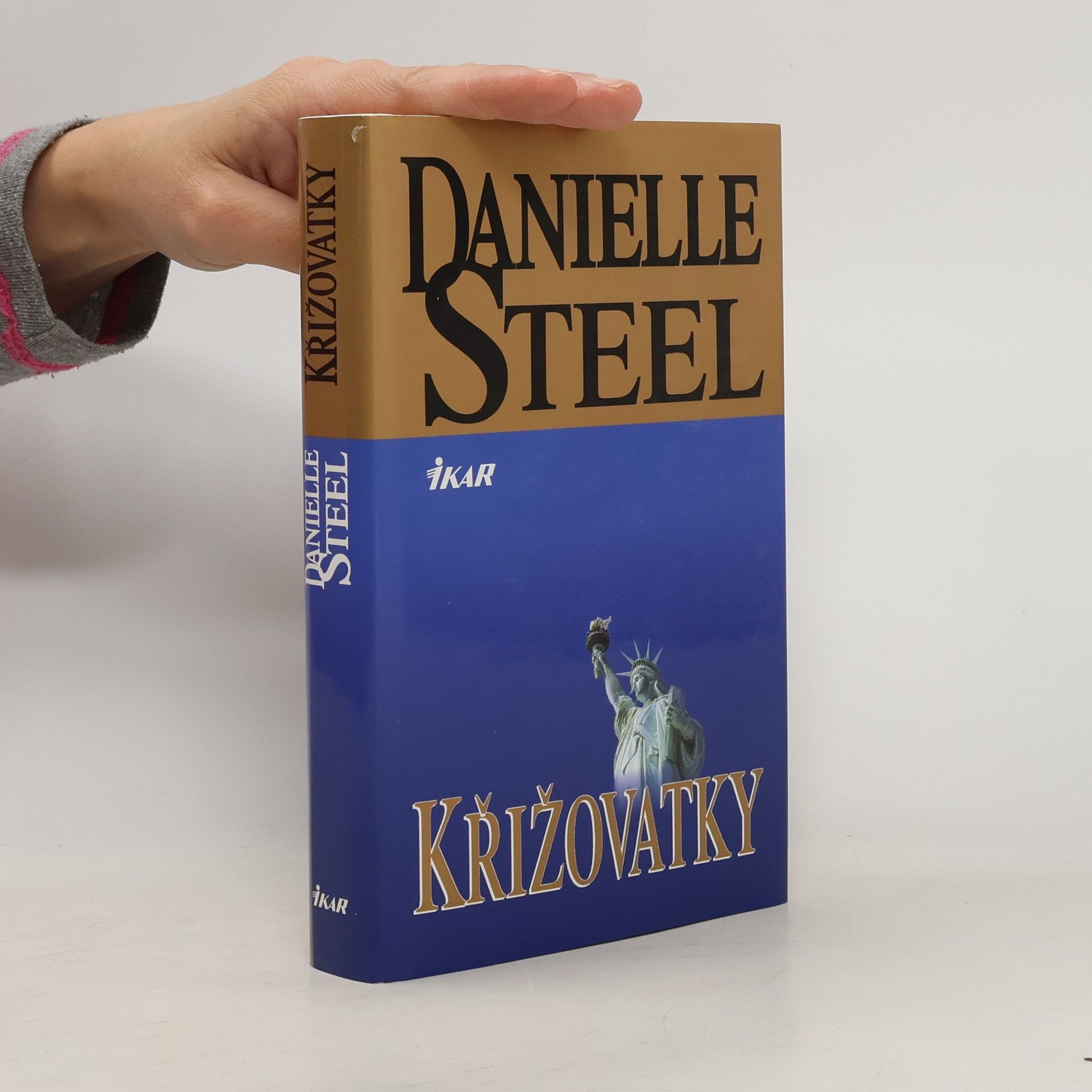 Danielle Steel Křižovatky