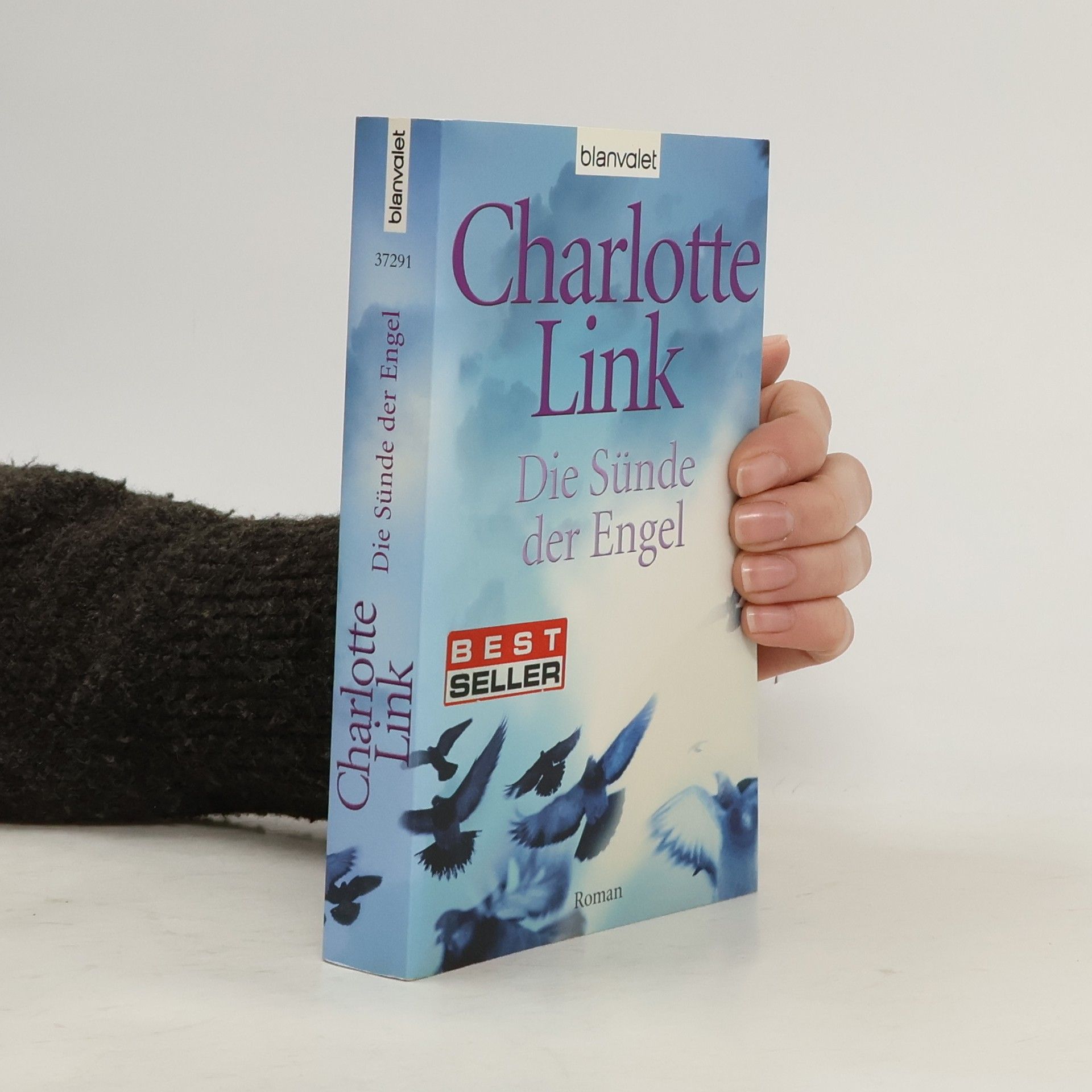 Charlotte Link Die Sünde der Engel