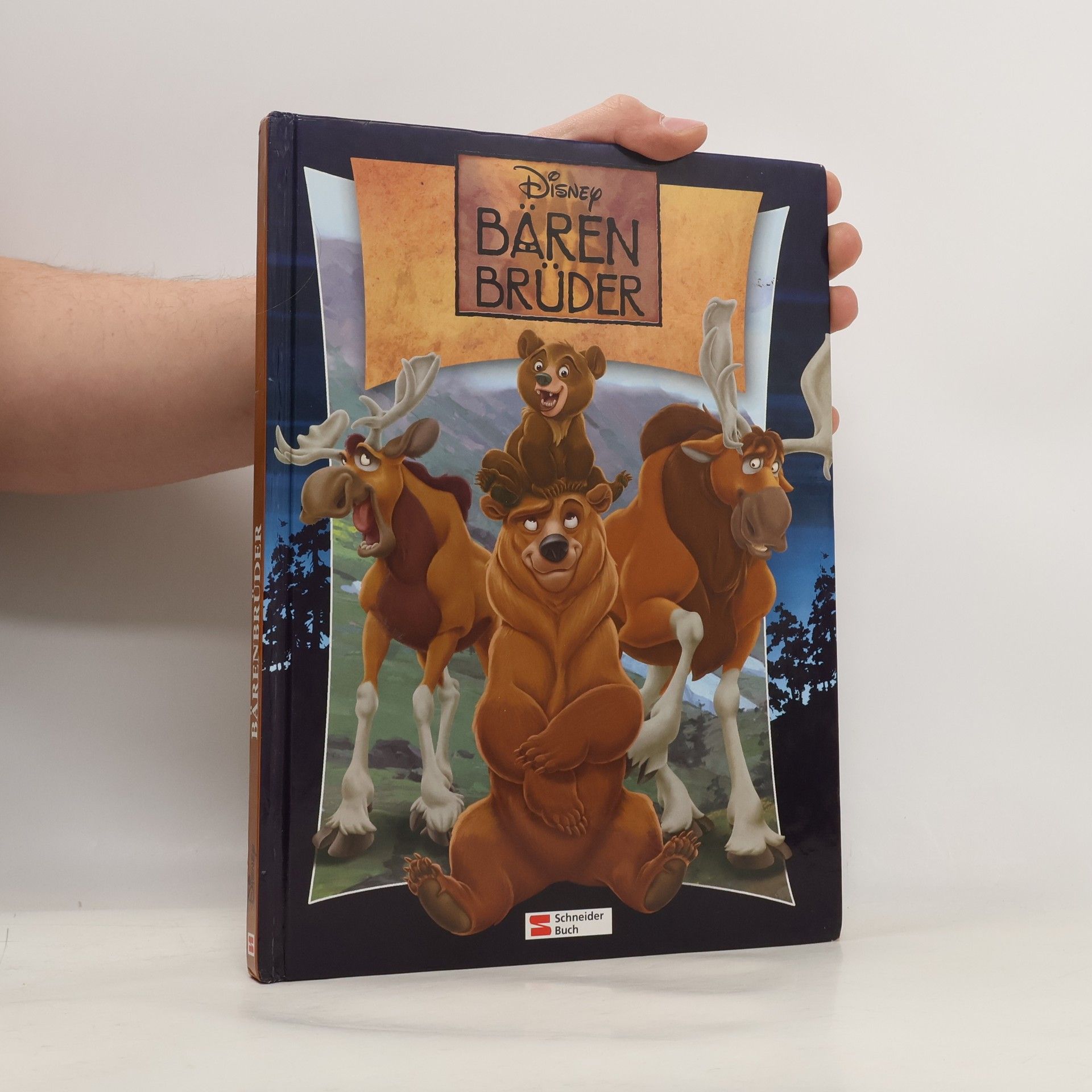 Walt Disney Disney: Bärenbrüder