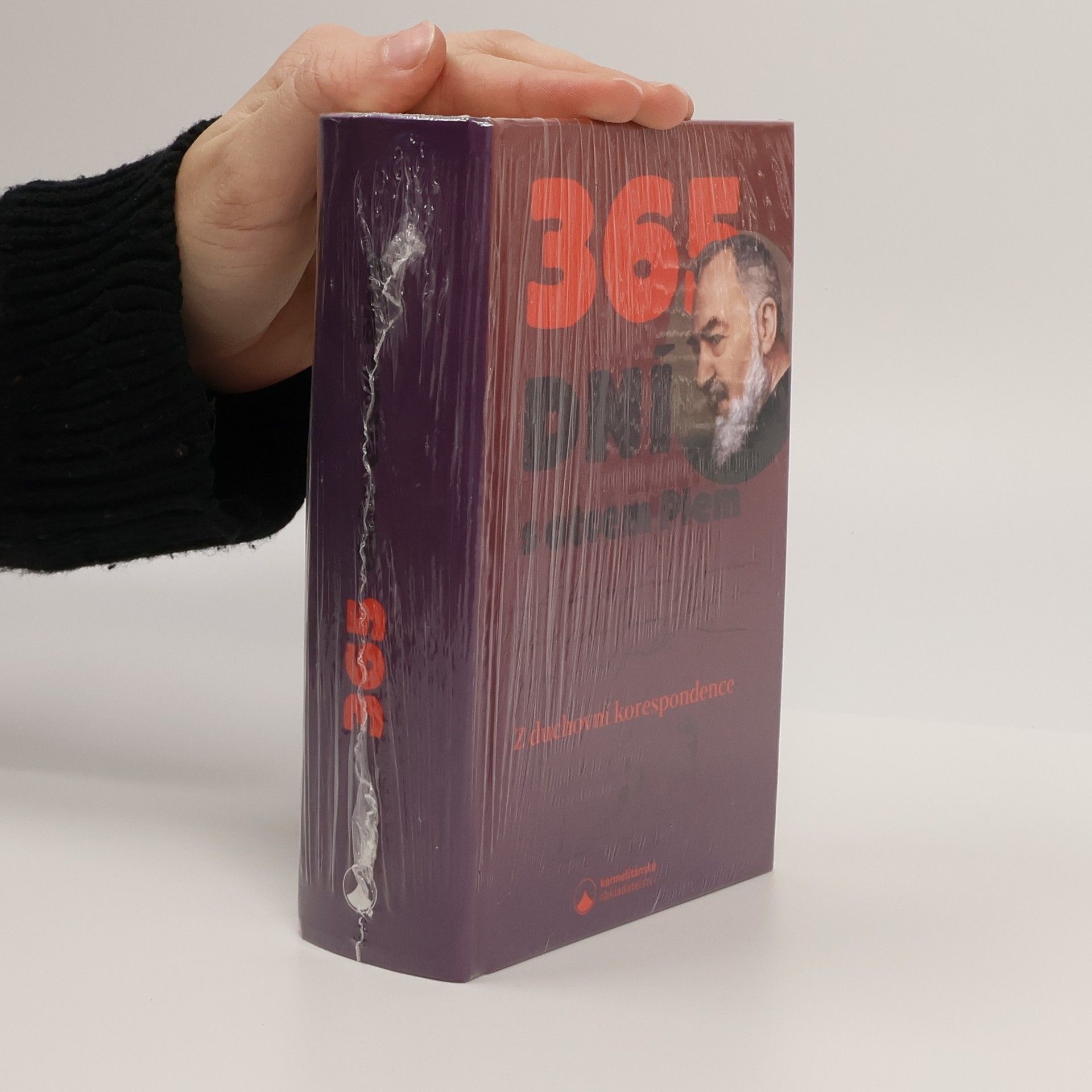 Pius 365 dní s otcem Piem : z duchovní korespondence