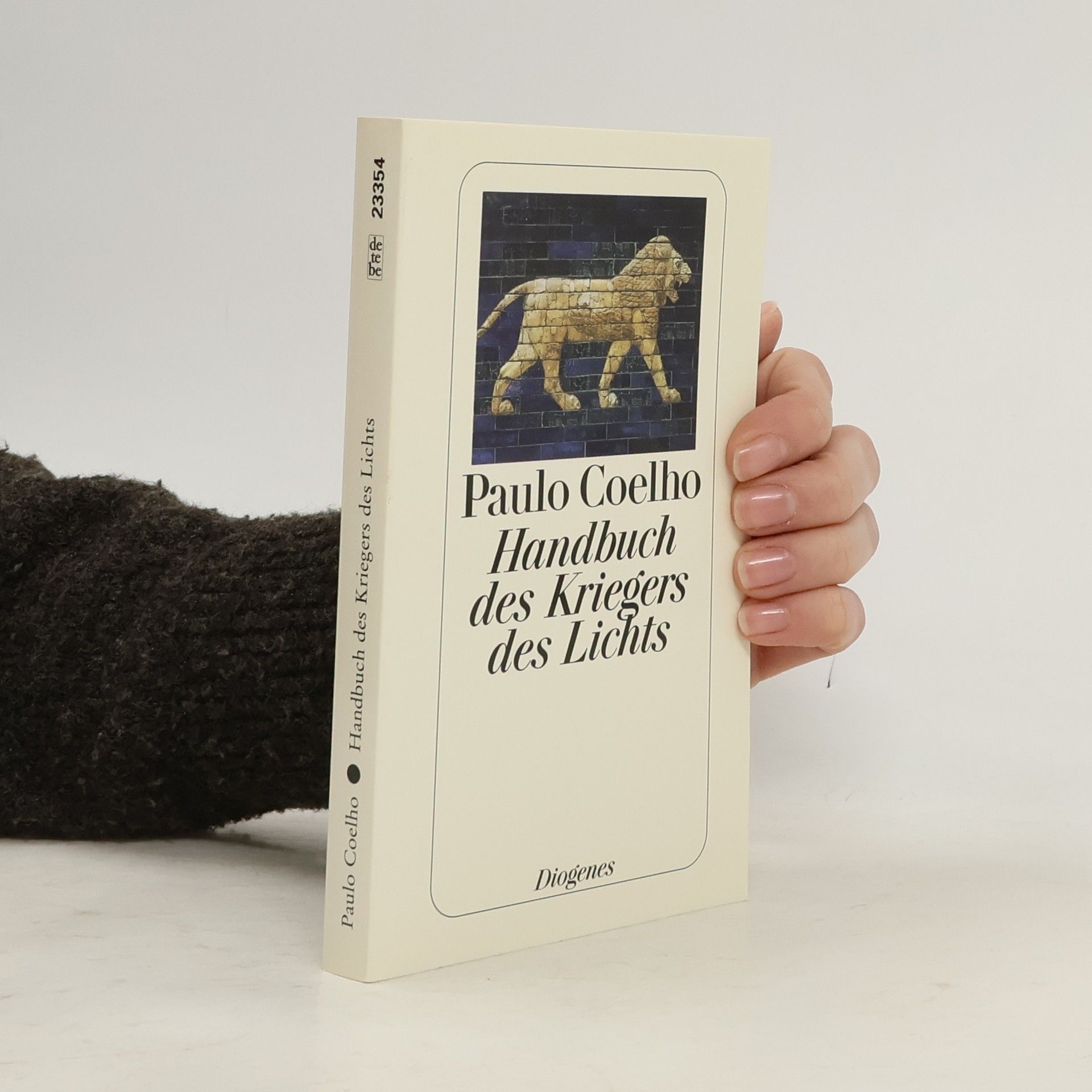 Paulo Coelho Handbuch des Kriegers des Lichts