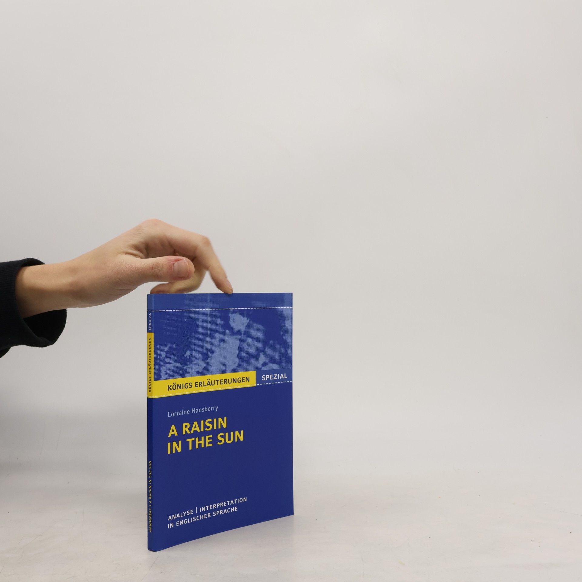 Patrick Charles Textanalyse und Interpretation zu Lorraine Hansberry, A raisin in the sun