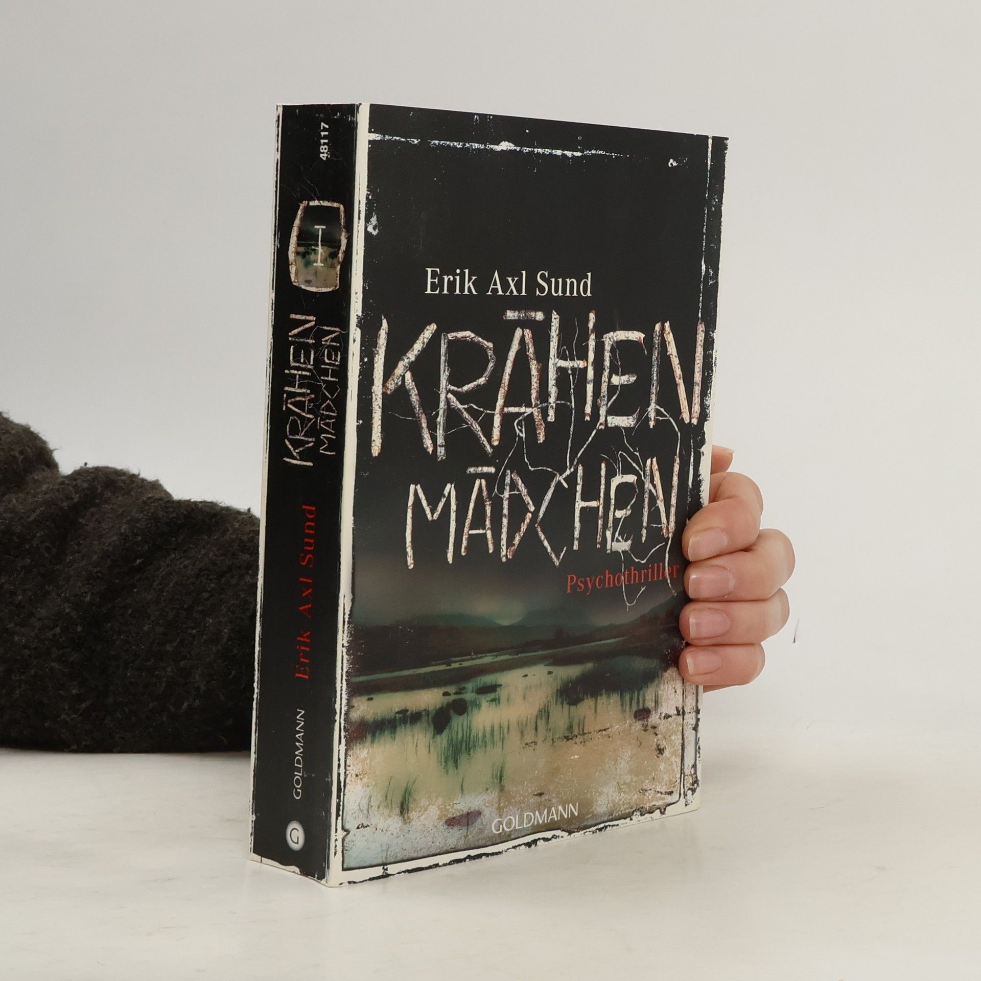 Erik Axl Sund Krähenmädchen
