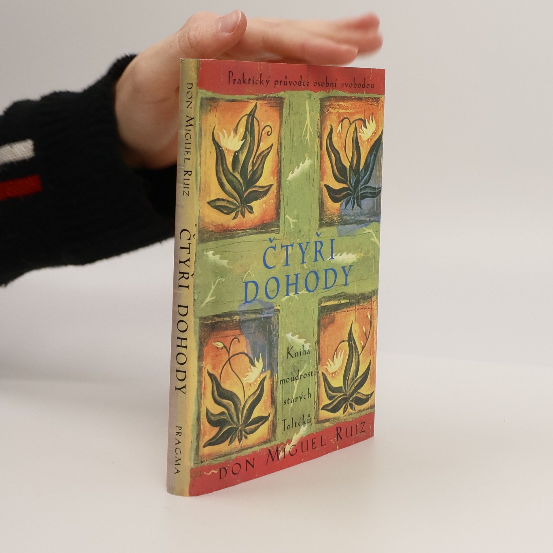 Don Miguel Ruiz Čtyři dohody