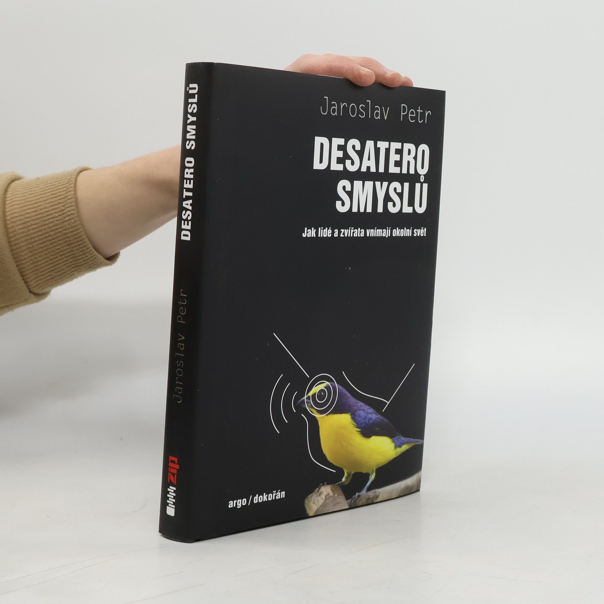 Desatero smyslů