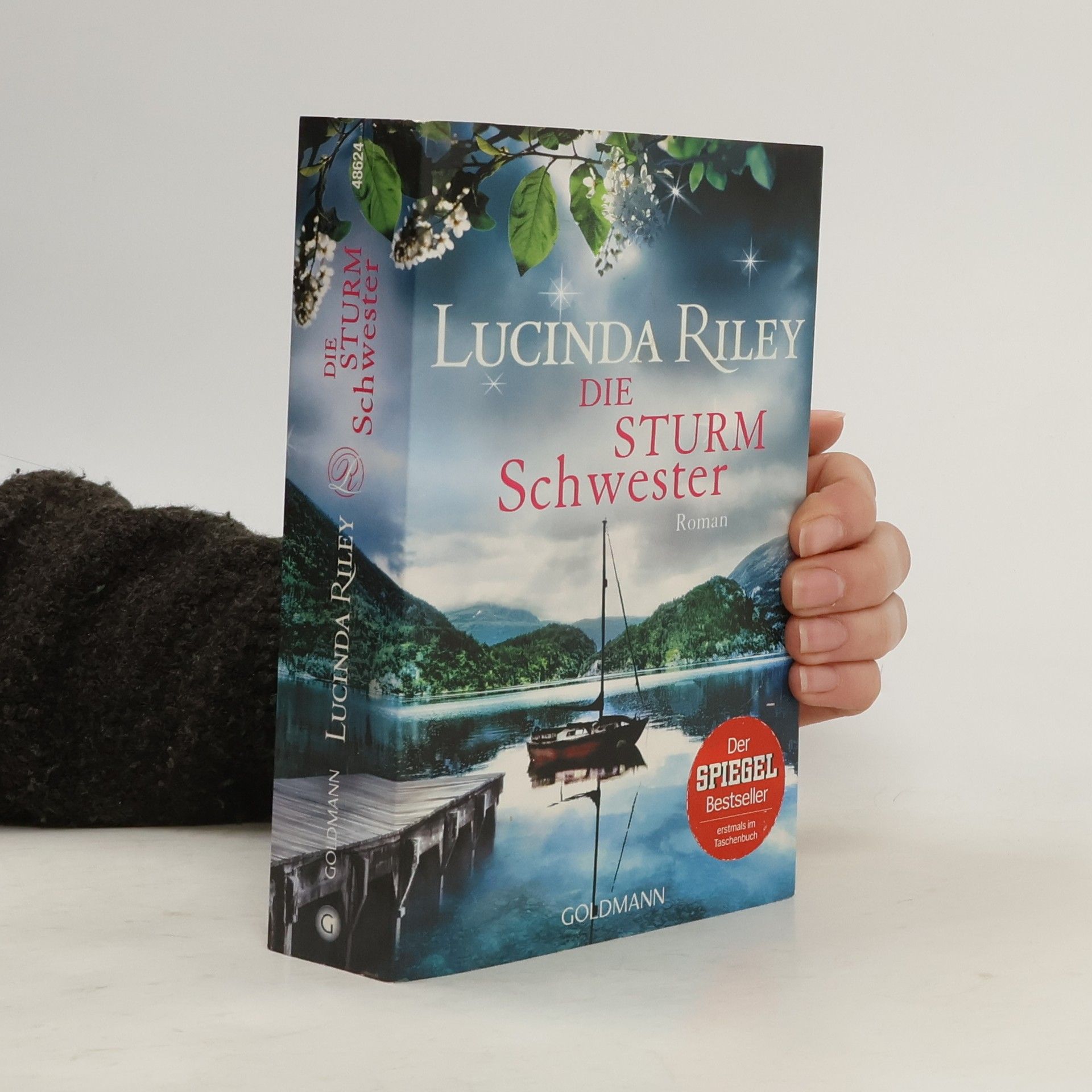 Lucinda Riley Die Sturmschwester