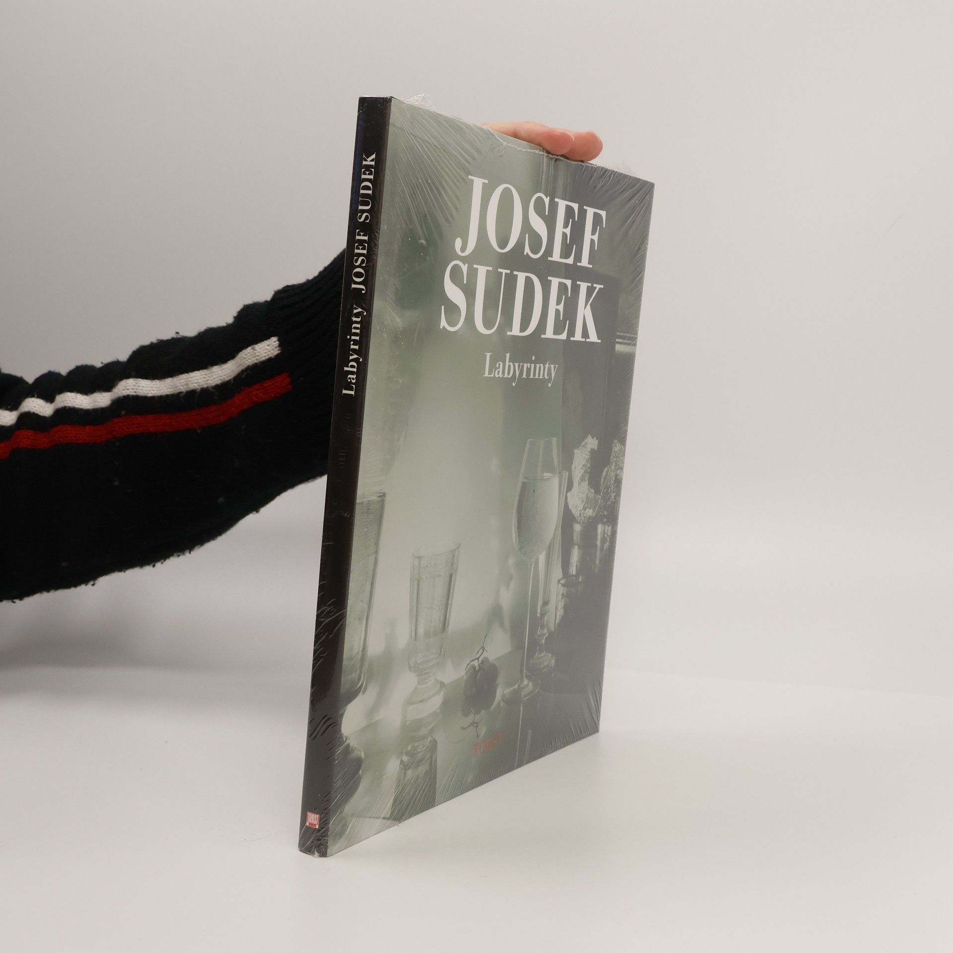 Josef Sudek Labyrinty