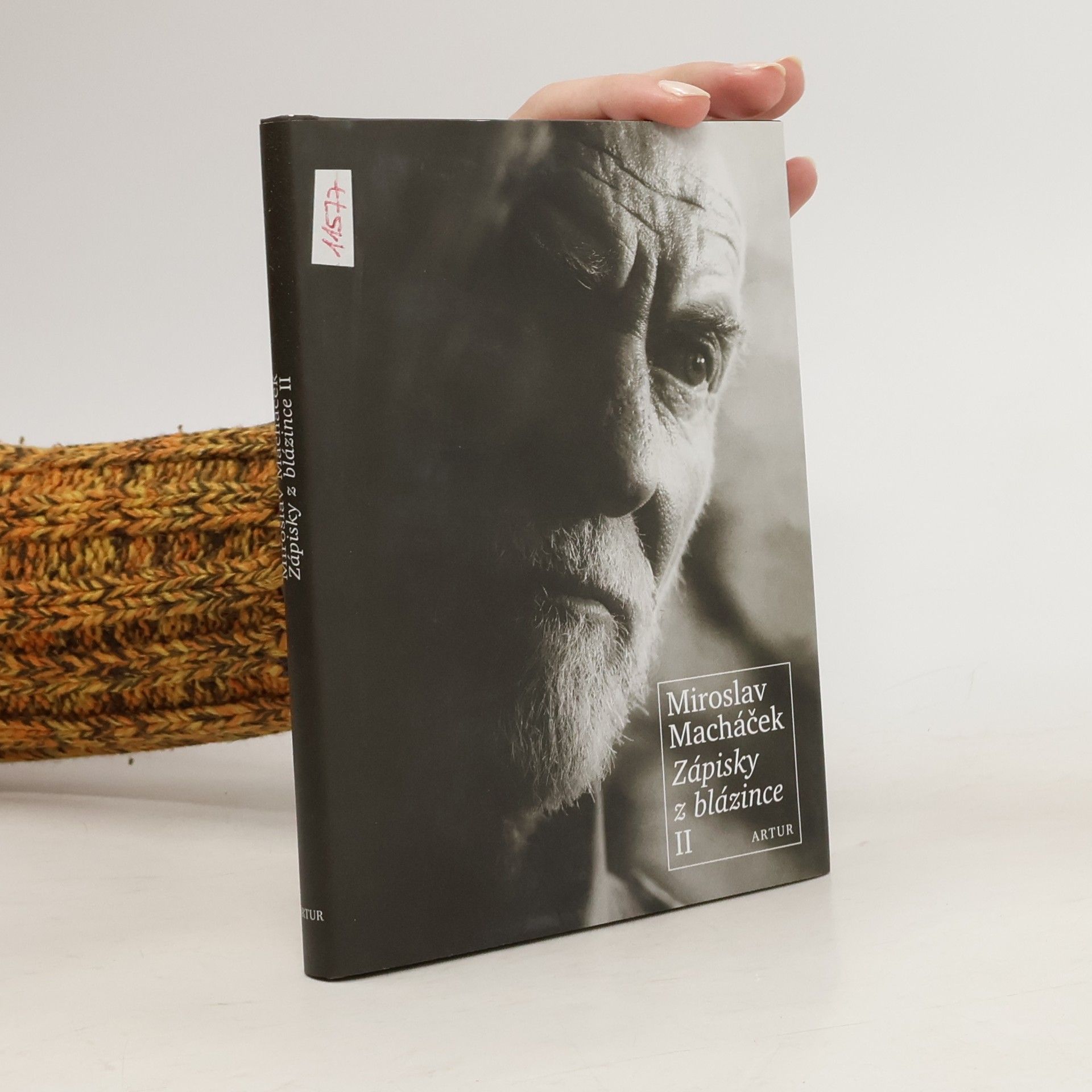 Zápisky z blázince II