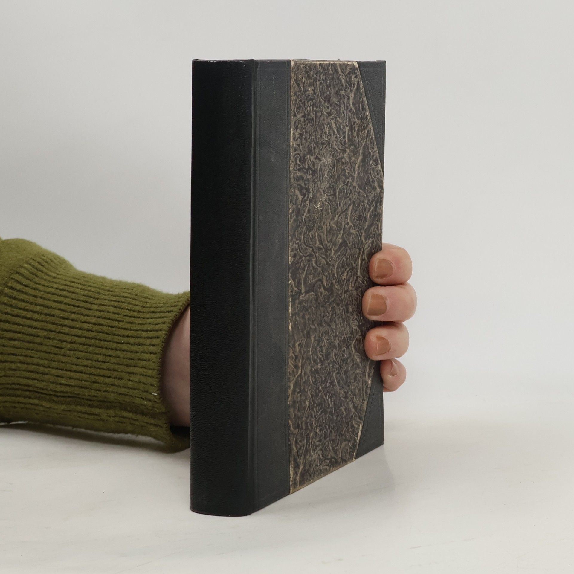 Alexandre Dumas starší Tři mušketýři ještě po deseti letech díl V. Svazek I.