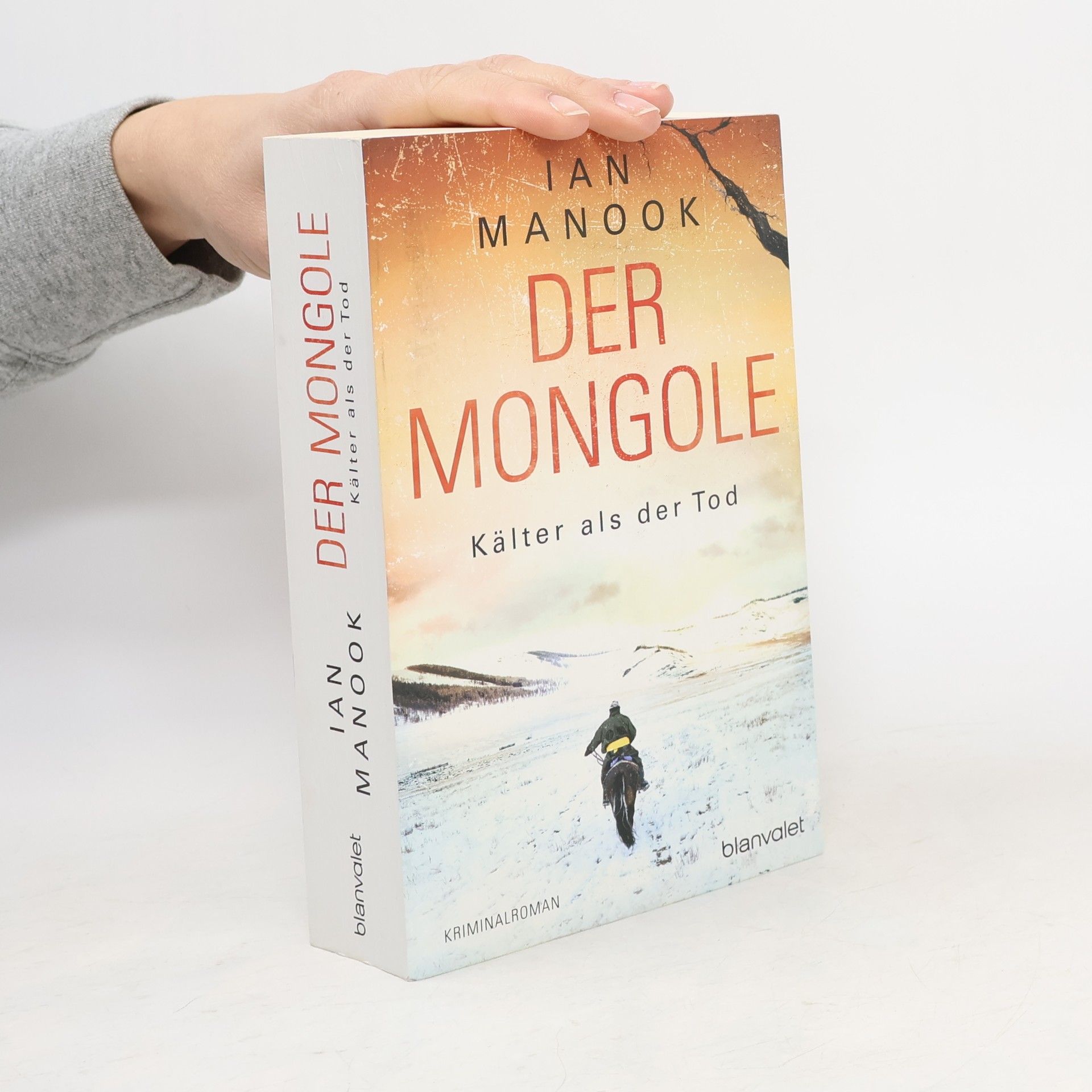 Patrick Manoukian Der Mongole - Kälter als der Tod