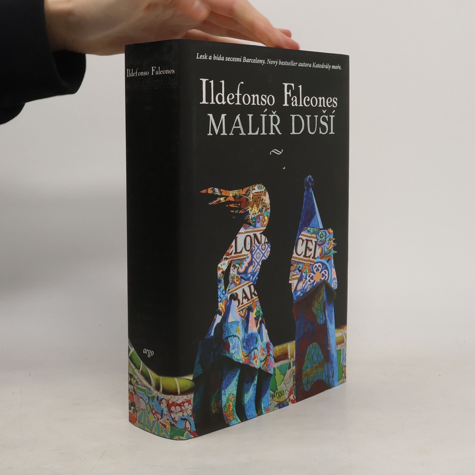 Ildefonso Falcones Malíř duší