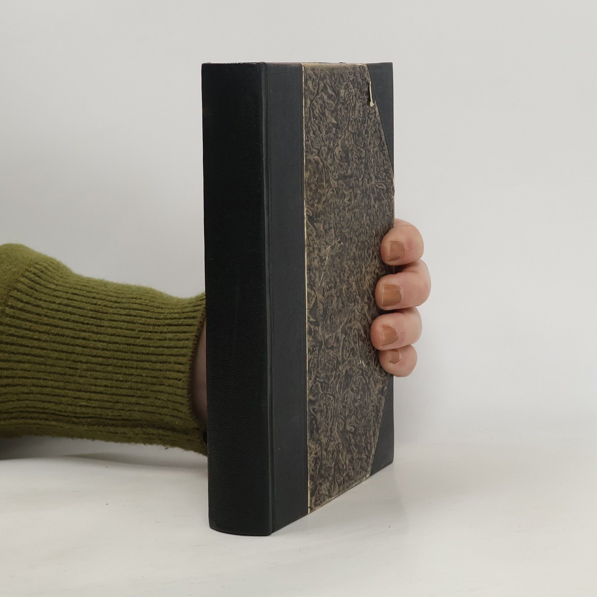 Alexandre Dumas Tři mušketýři ještě po deseti letech. Díl I. Svazek I.