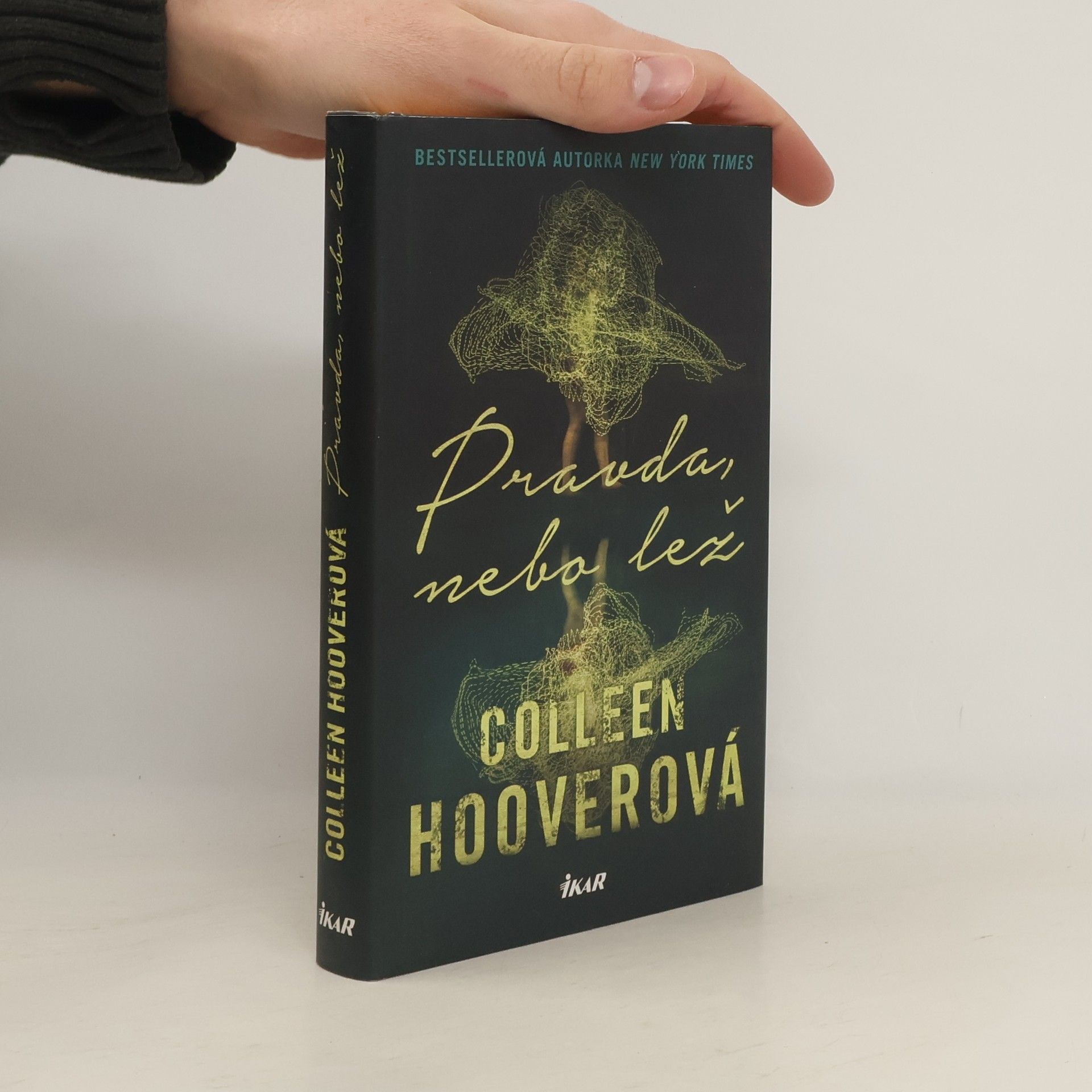 Colleen Hoover Pravda nebo lež