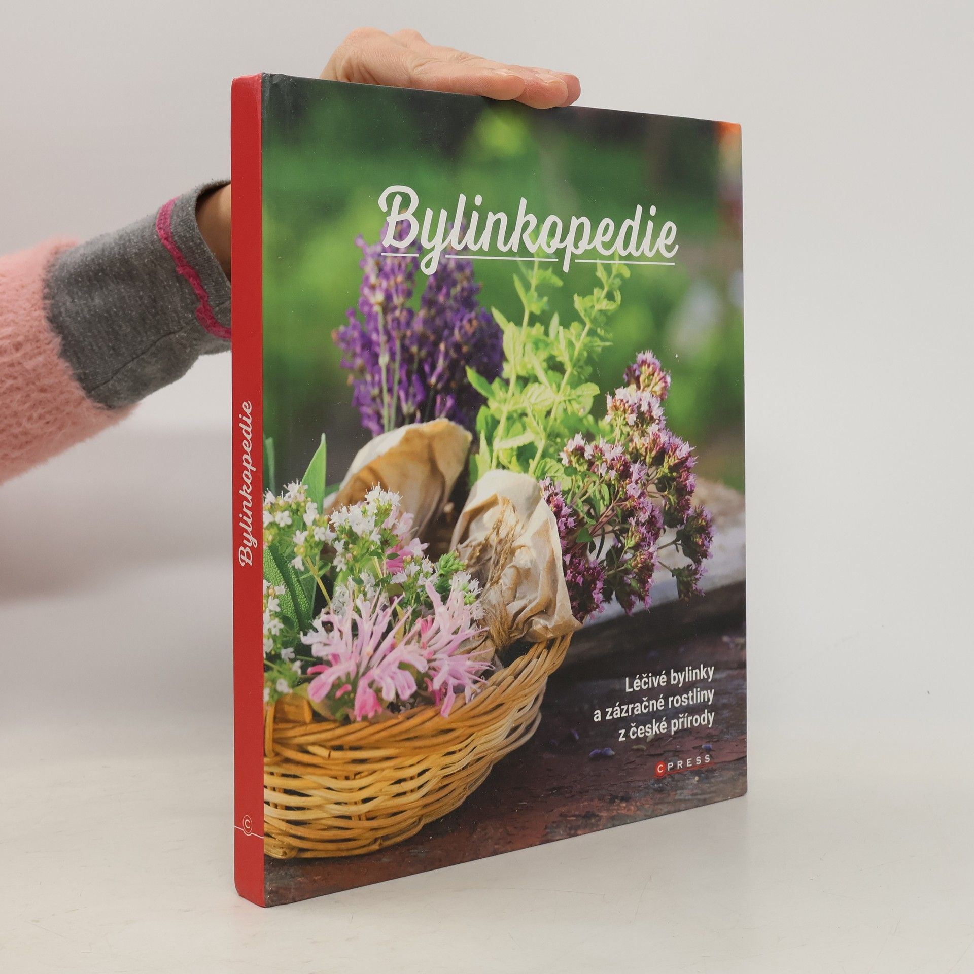 Various authors Bylinkopedie