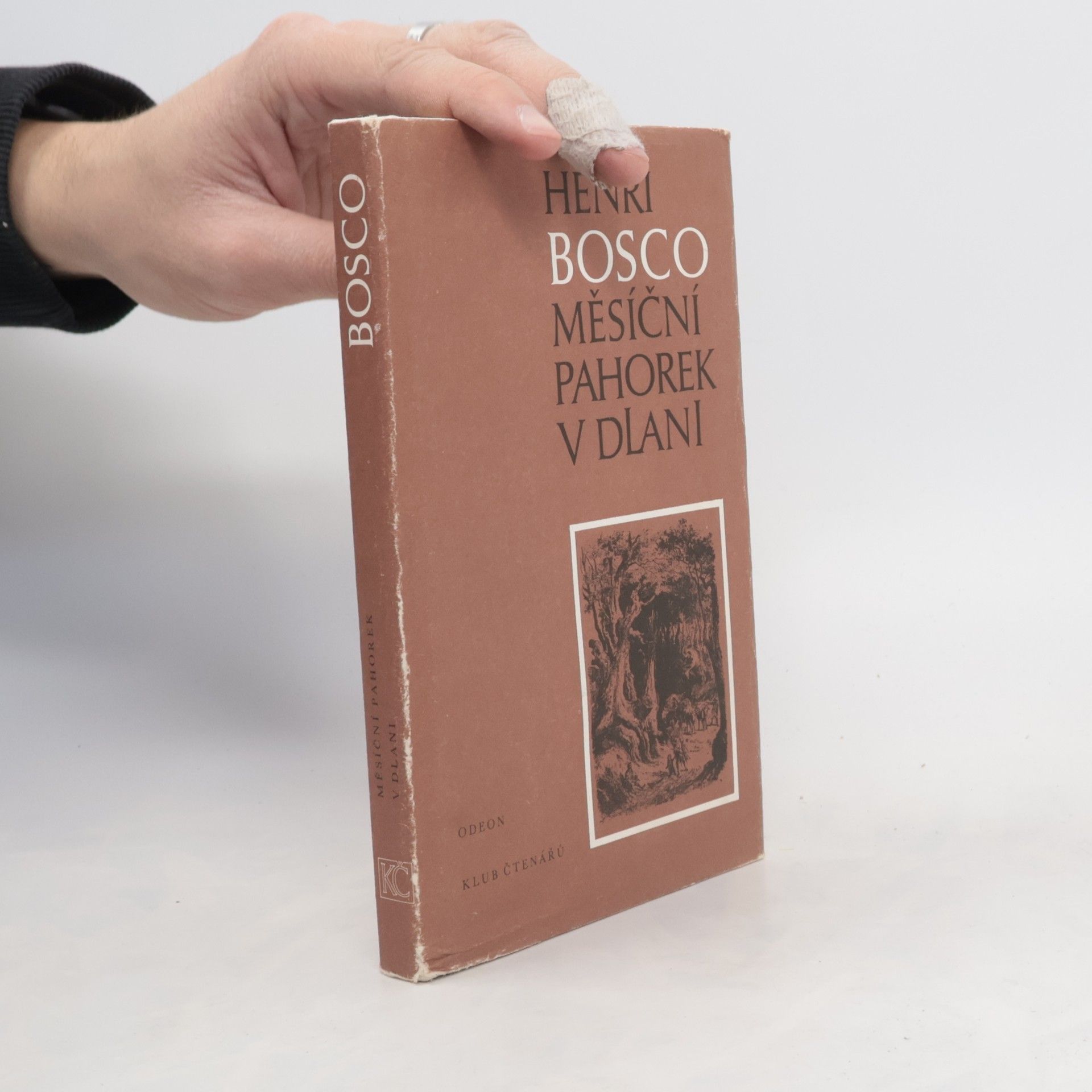 Měsíční pahorek v dlani