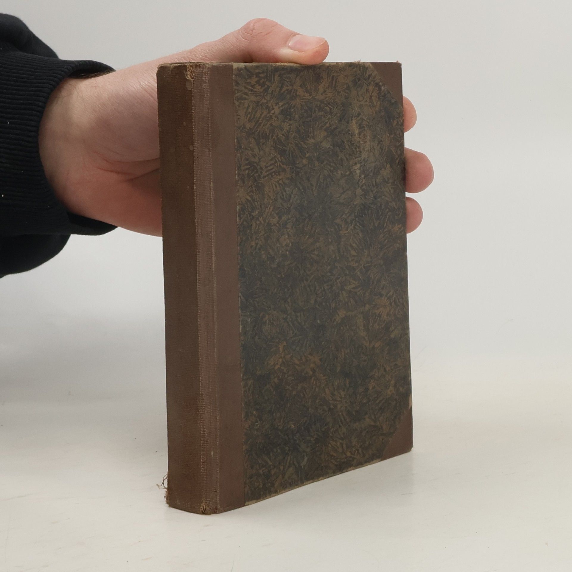 Paličatost slovenská