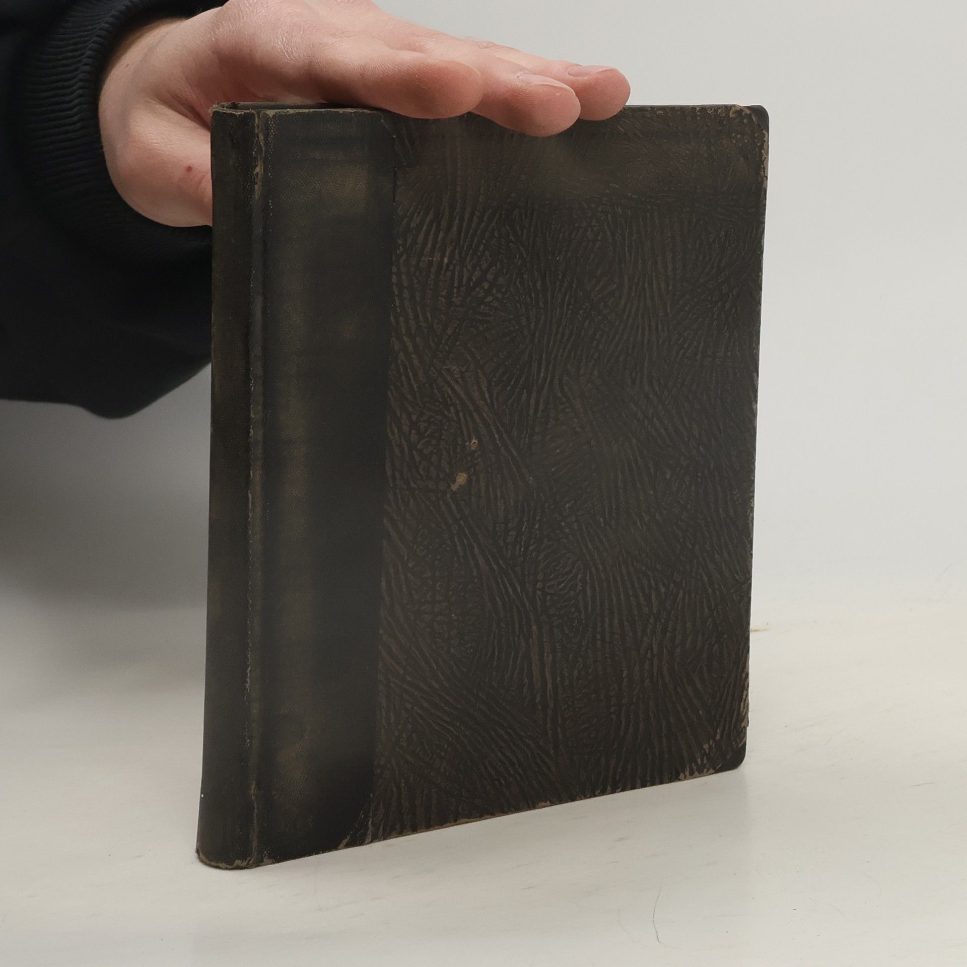 Mniszkowa Helena Dědictví I.