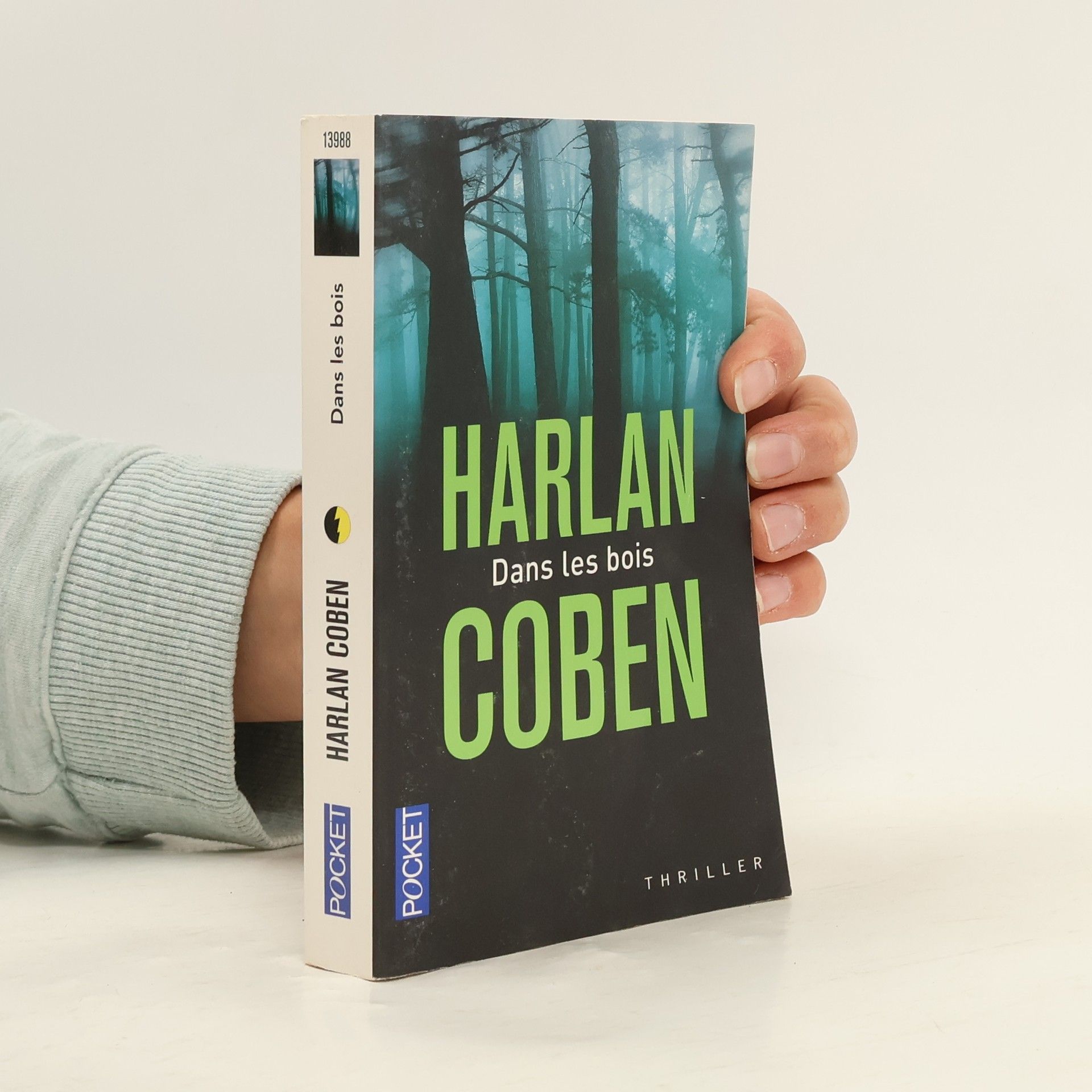 Roxane Azimi Dans les bois