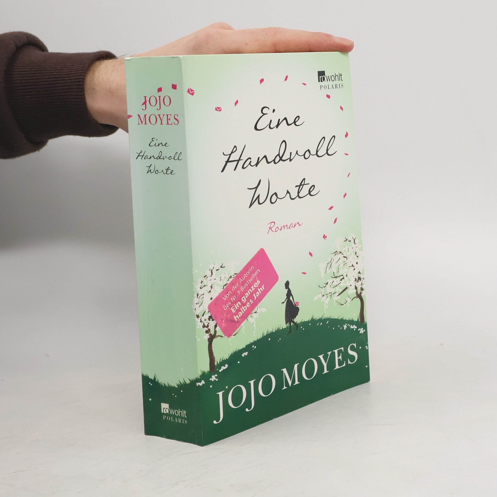 Jojo Moyesová Eine Handvoll Worte