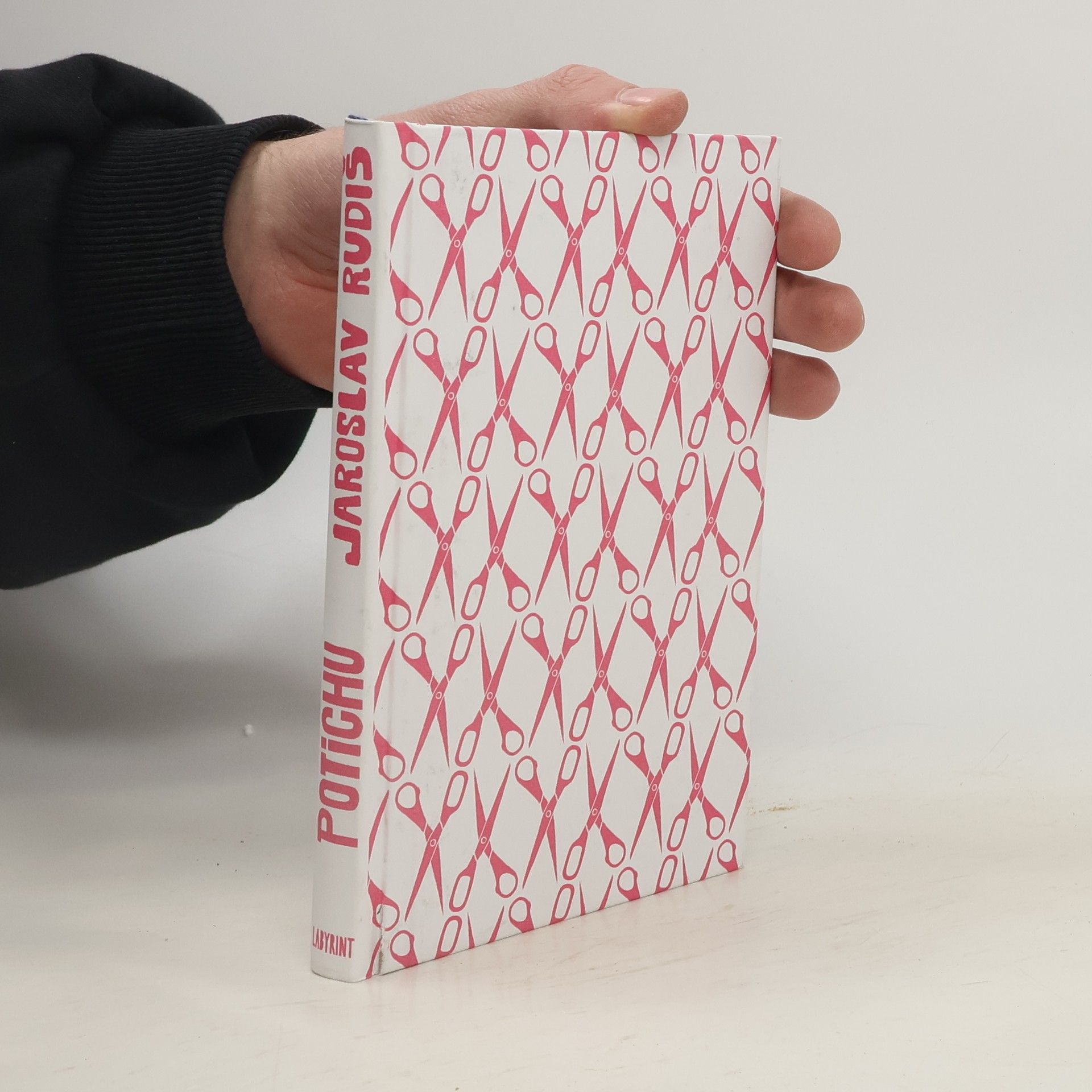 Jaroslav Rudiš Potichu