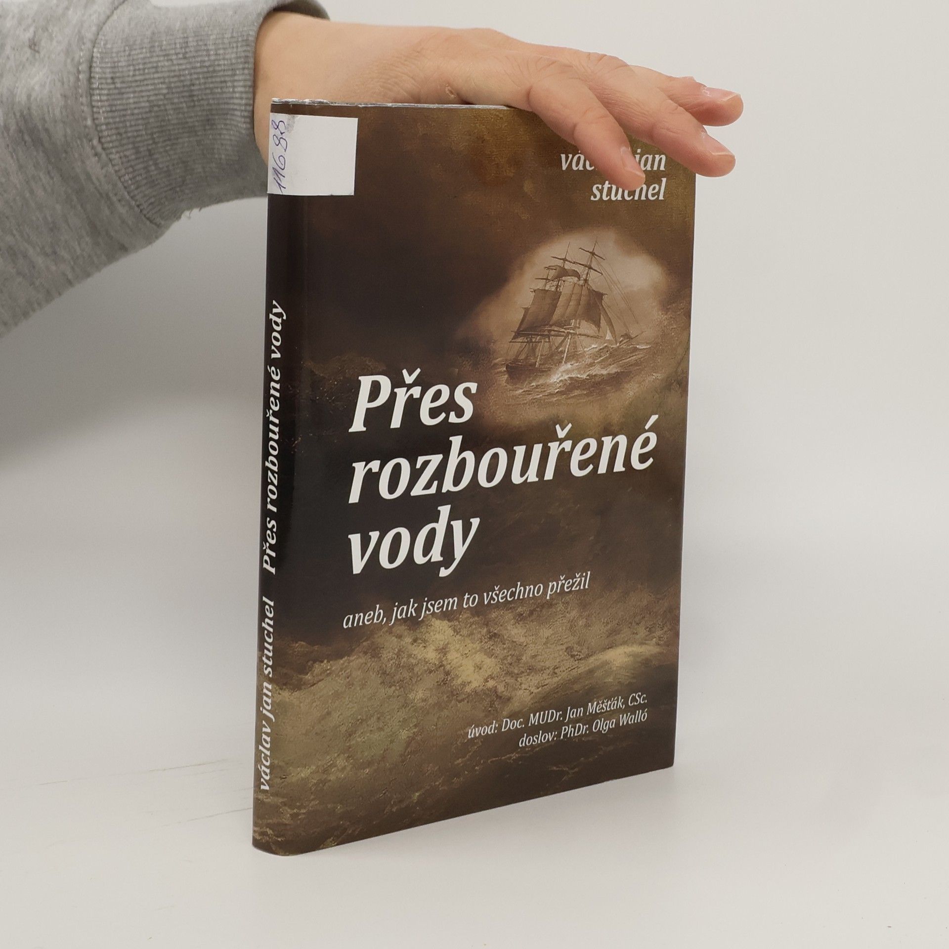 Přes rozbouřené vody aneb, jak jsem to všechno přežil