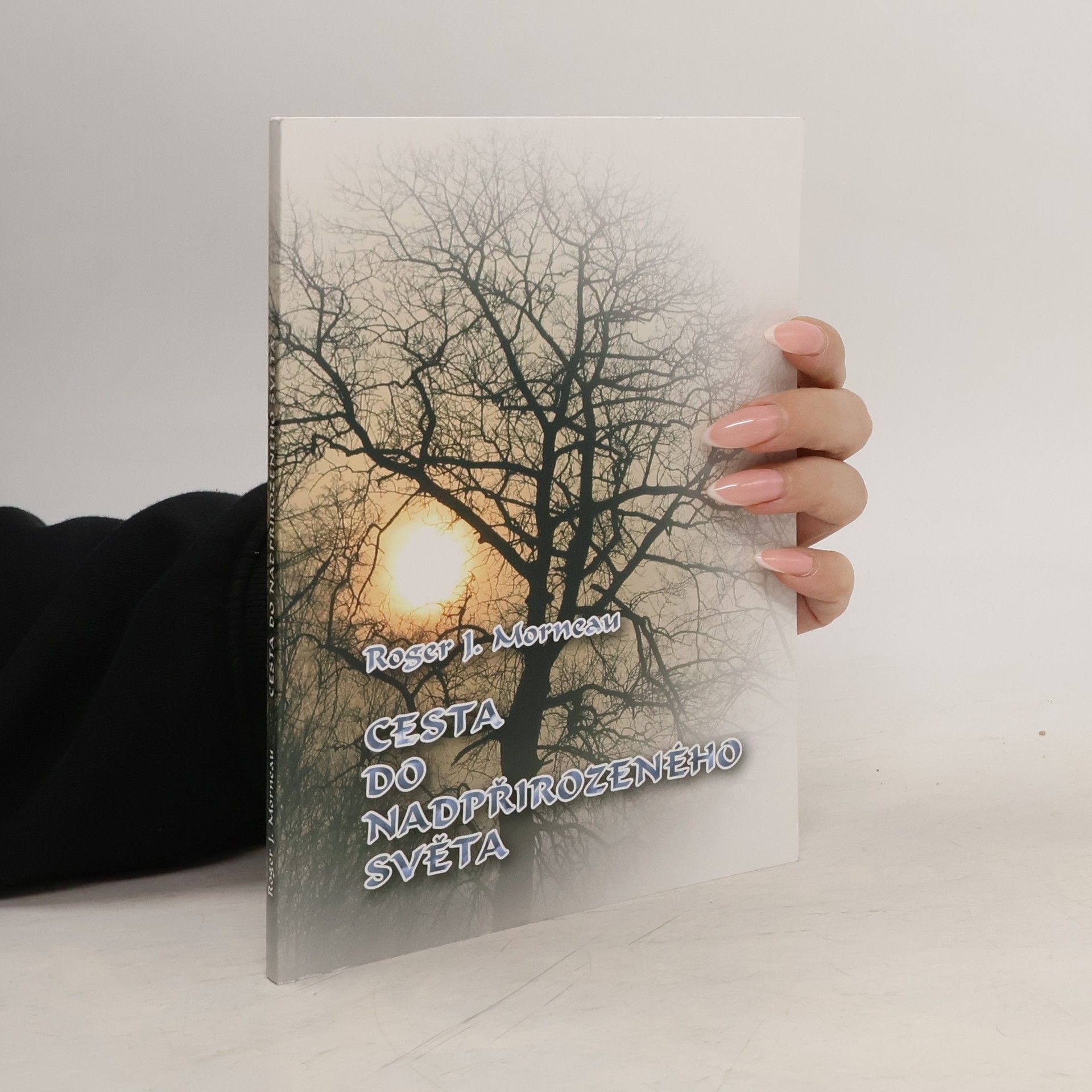 Roger J. Morneau Cesta do nadpřirozeného světa