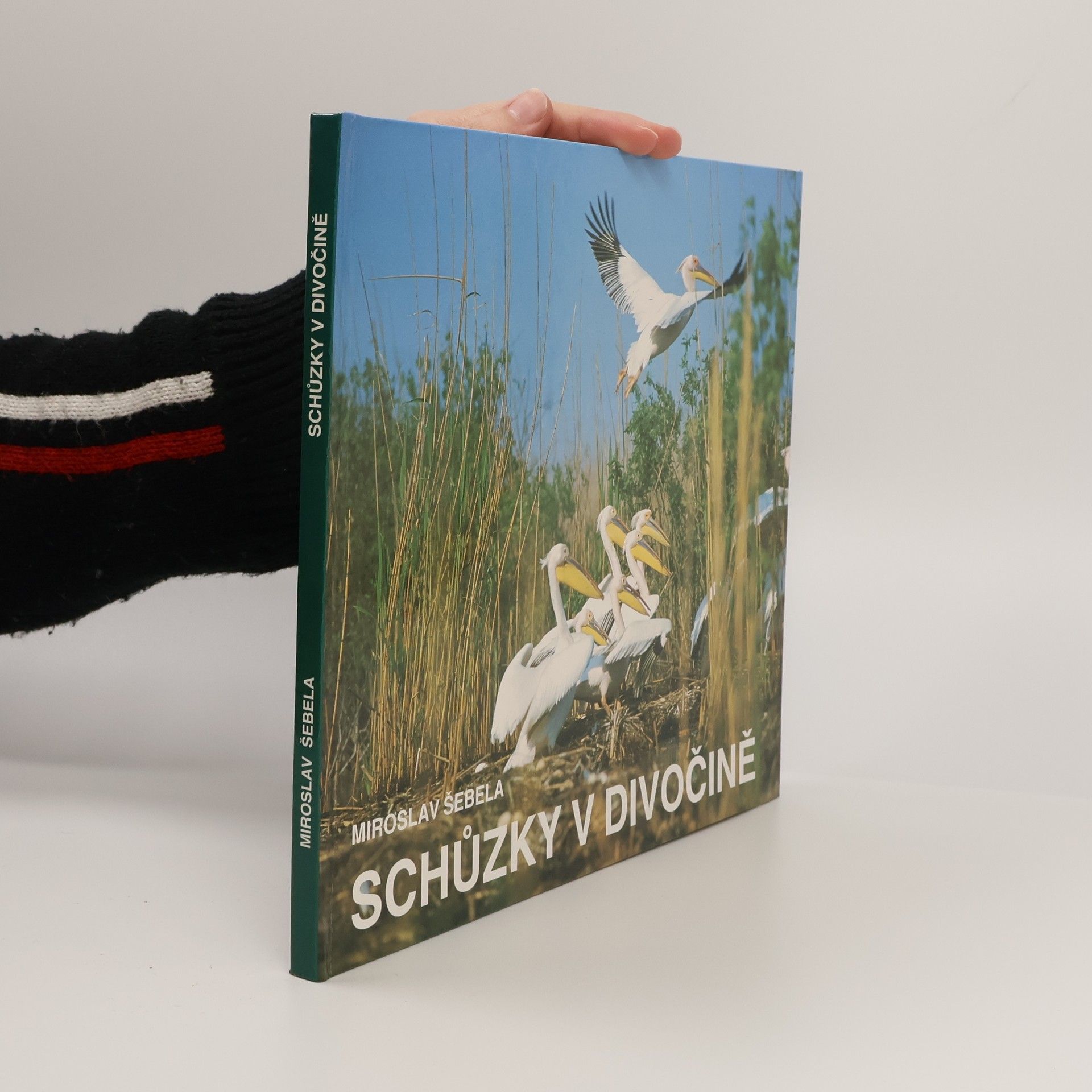 Miroslav Šebela Schůzky v divočině