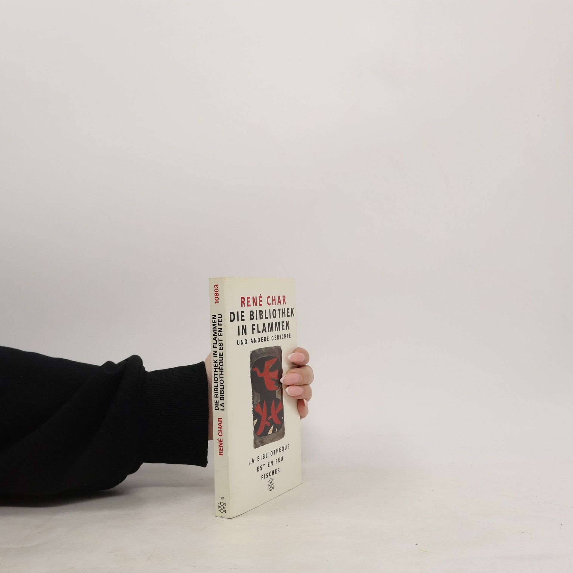 Die Bibliothek in Flammen und andere Gedichte