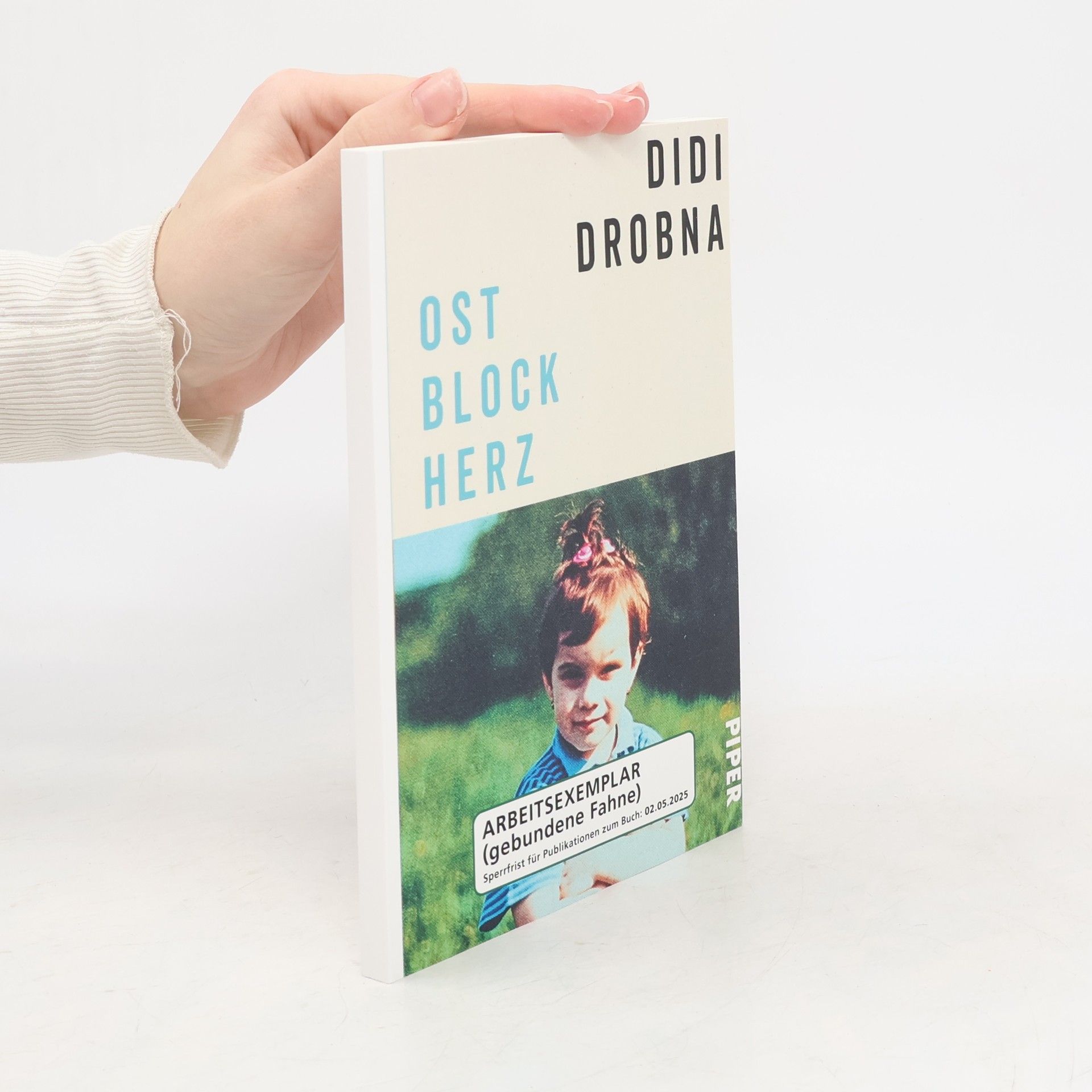 Ostblockherz (arbeitsexemplar)