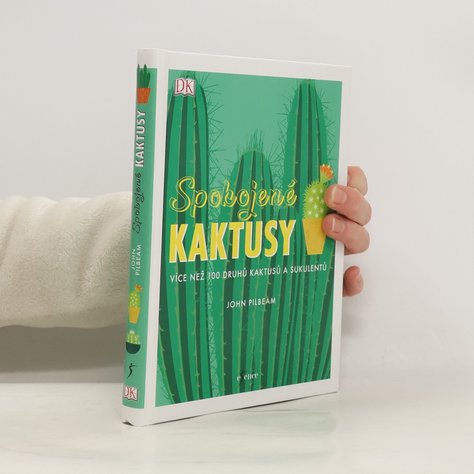 John Pilbeam Spokojené kaktusy