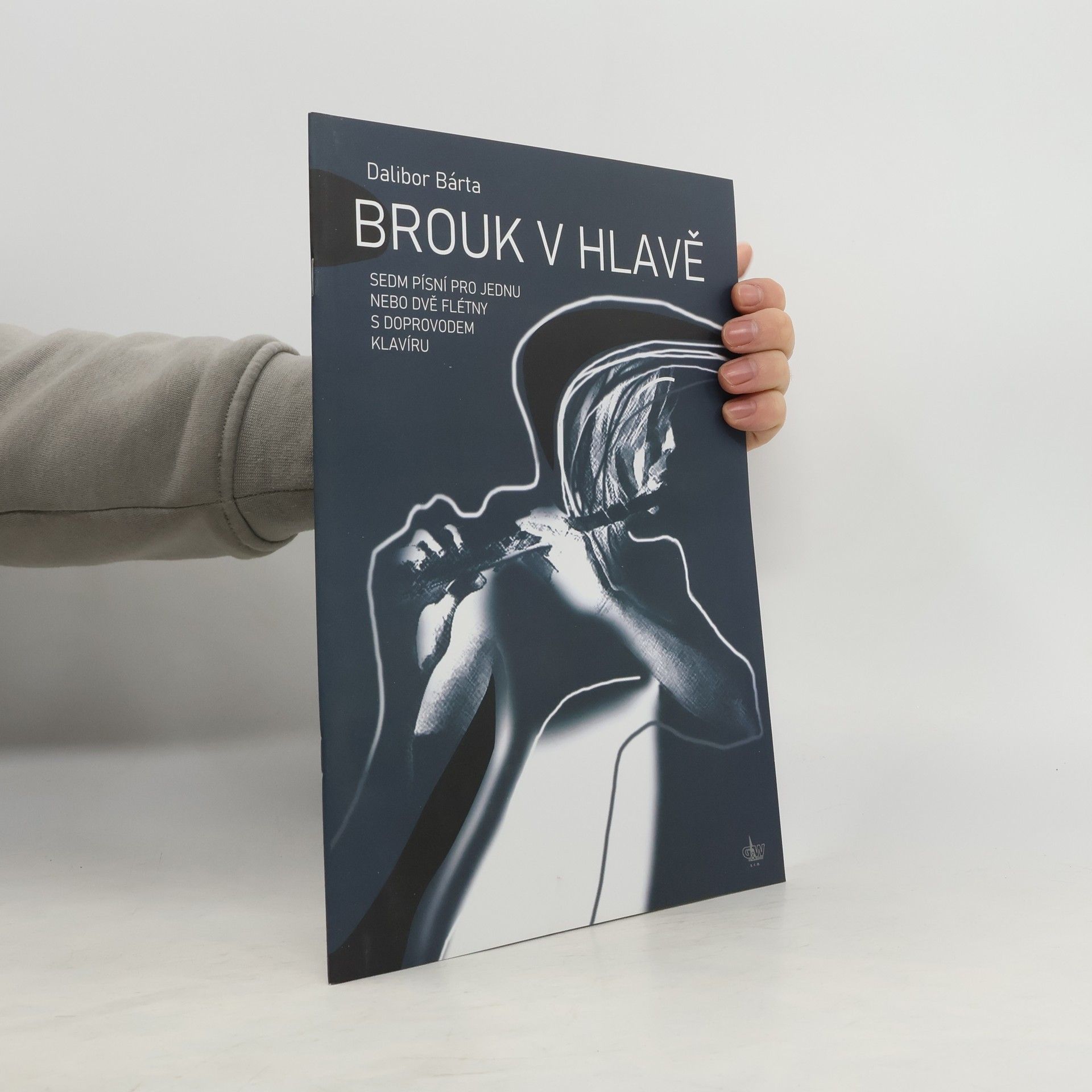 výroba hudeb.nástrojů G+W Brouk v hlavě