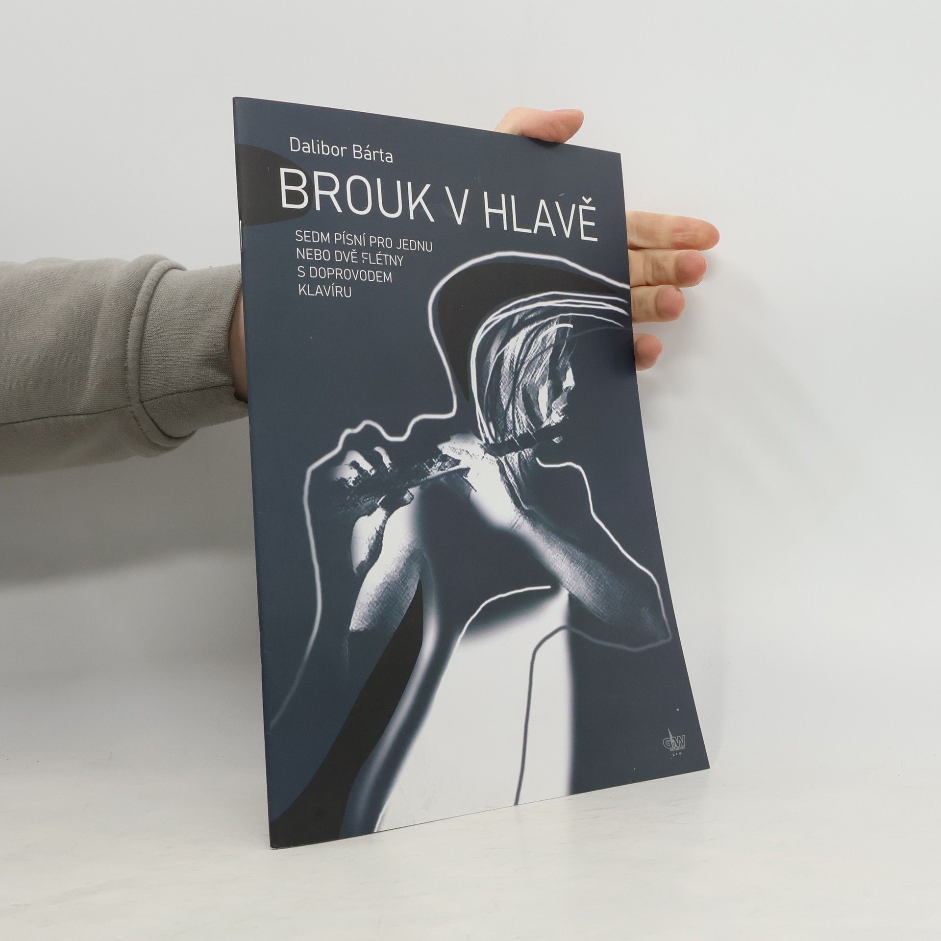 výroba hudeb.nástrojů G+W Brouk v hlavě