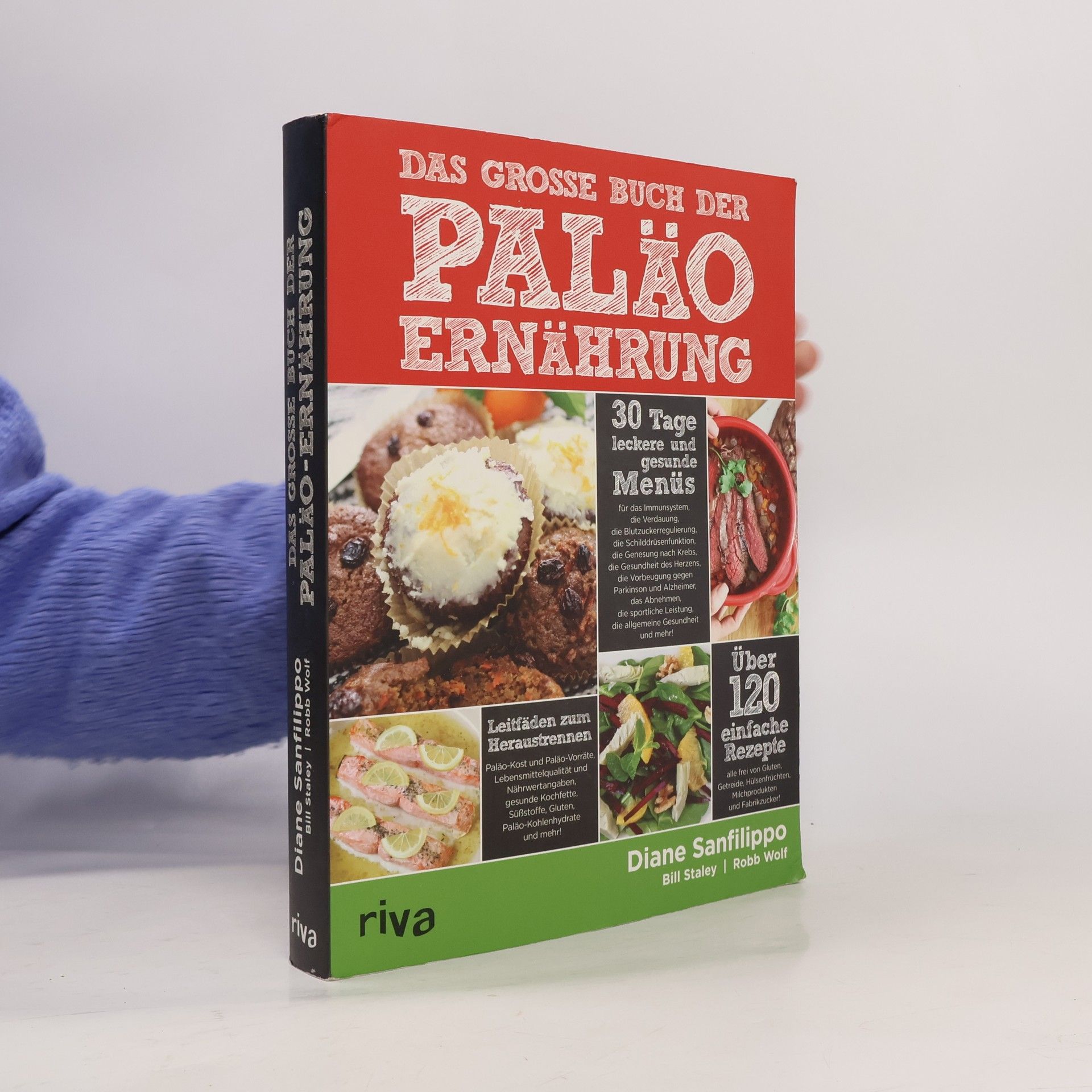 Diane Sanfilippo Das große Buch der Paläo-Ernährung