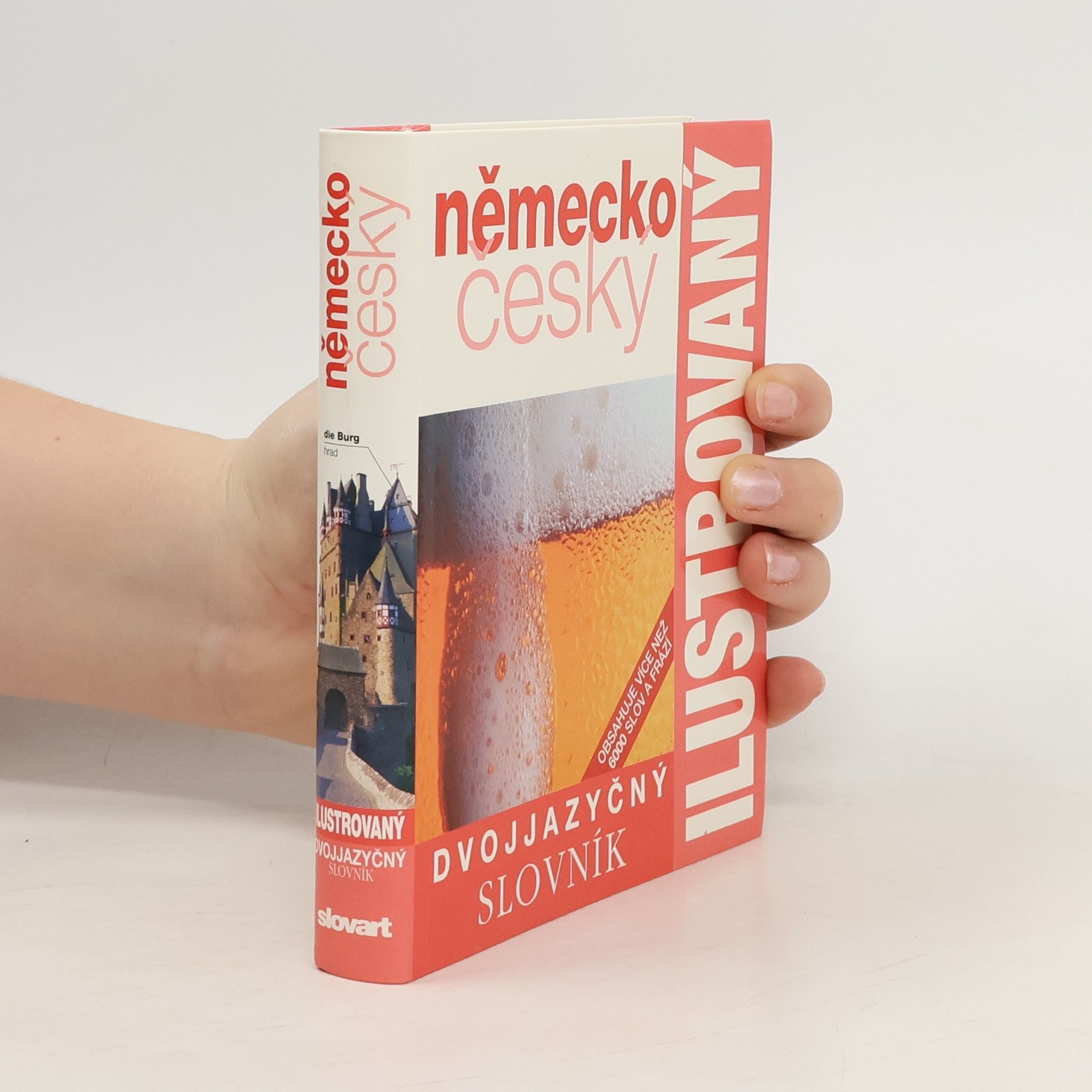 Zuzanna Bedřichová Německo český dvojjazyčný ilustrovaný slovník