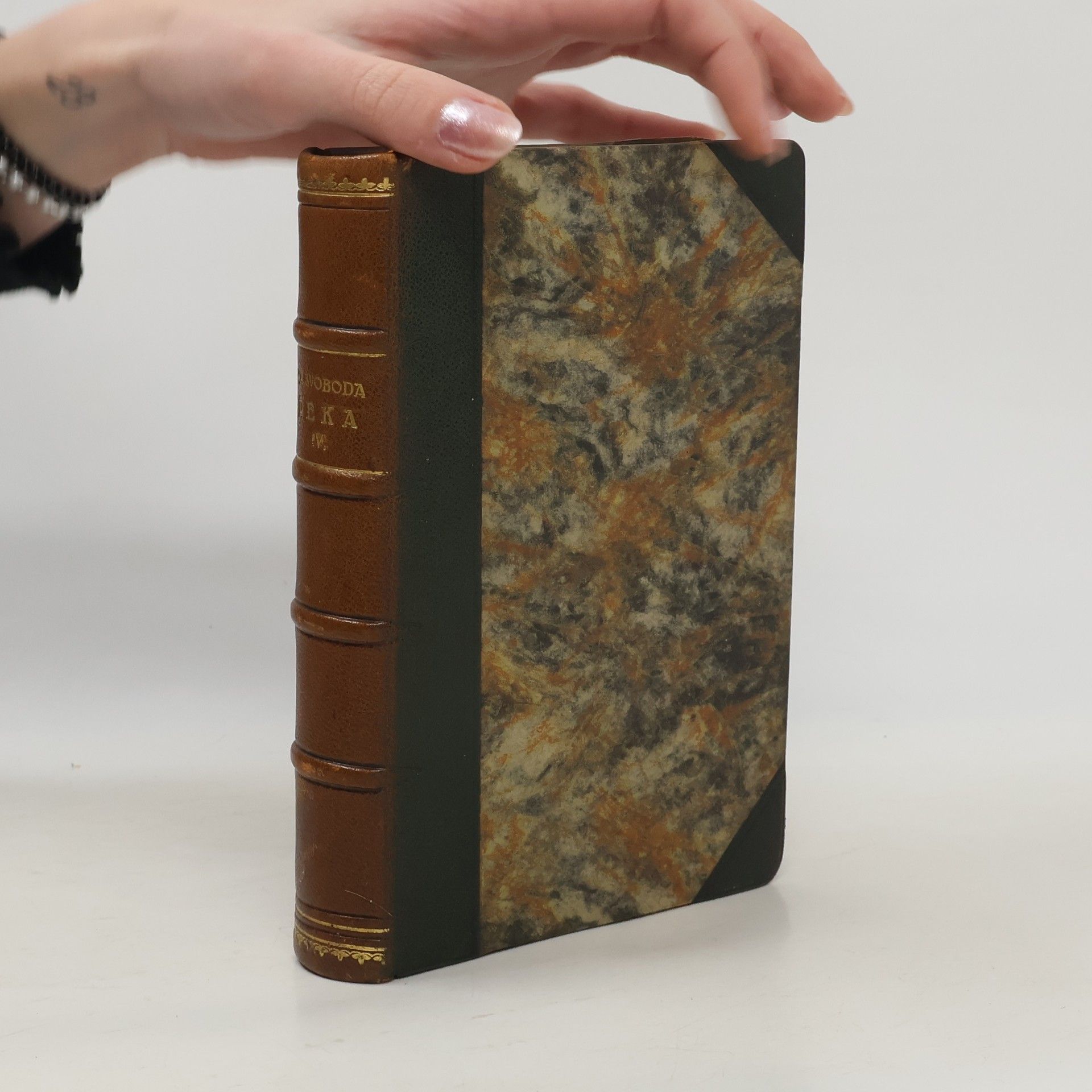 F. X. Svoboda Řeka IV.