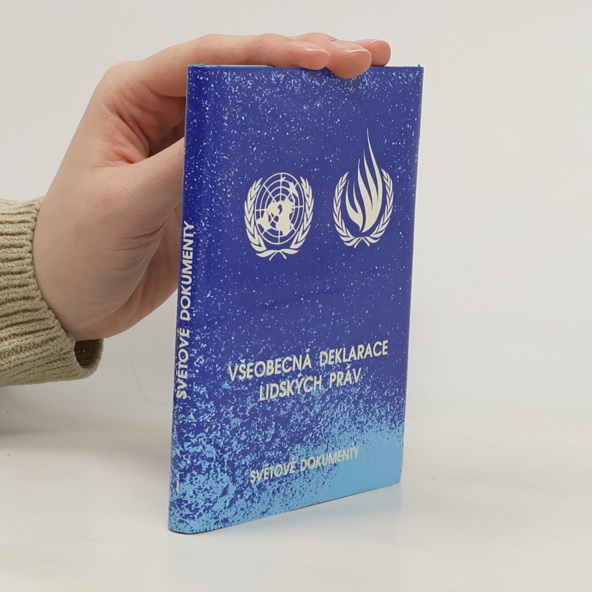 Auteurscollectief Všeobecná deklarace lidských práv. Světové dokumenty