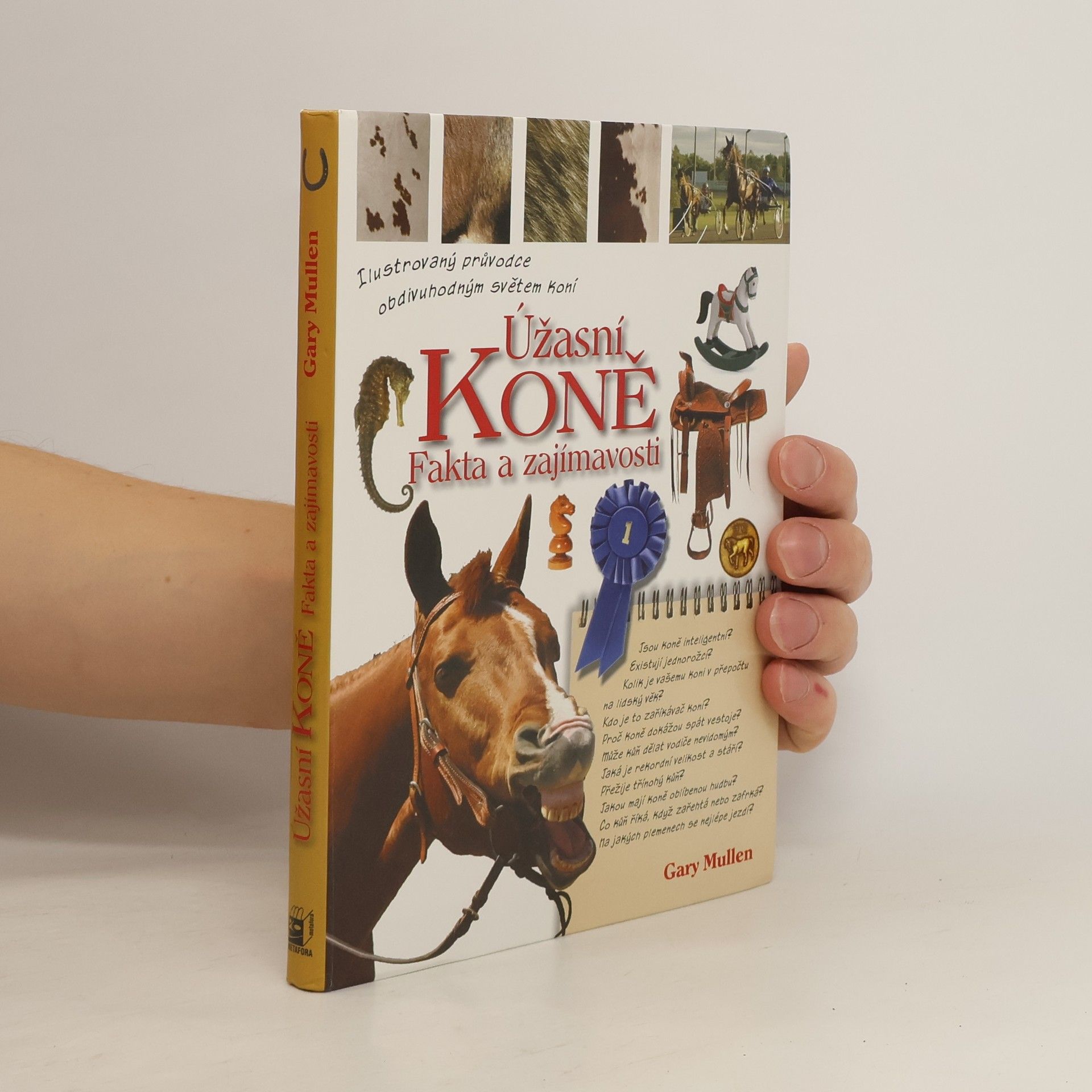 Gary Mullen Úžasní koně: fakta a zajímavosti