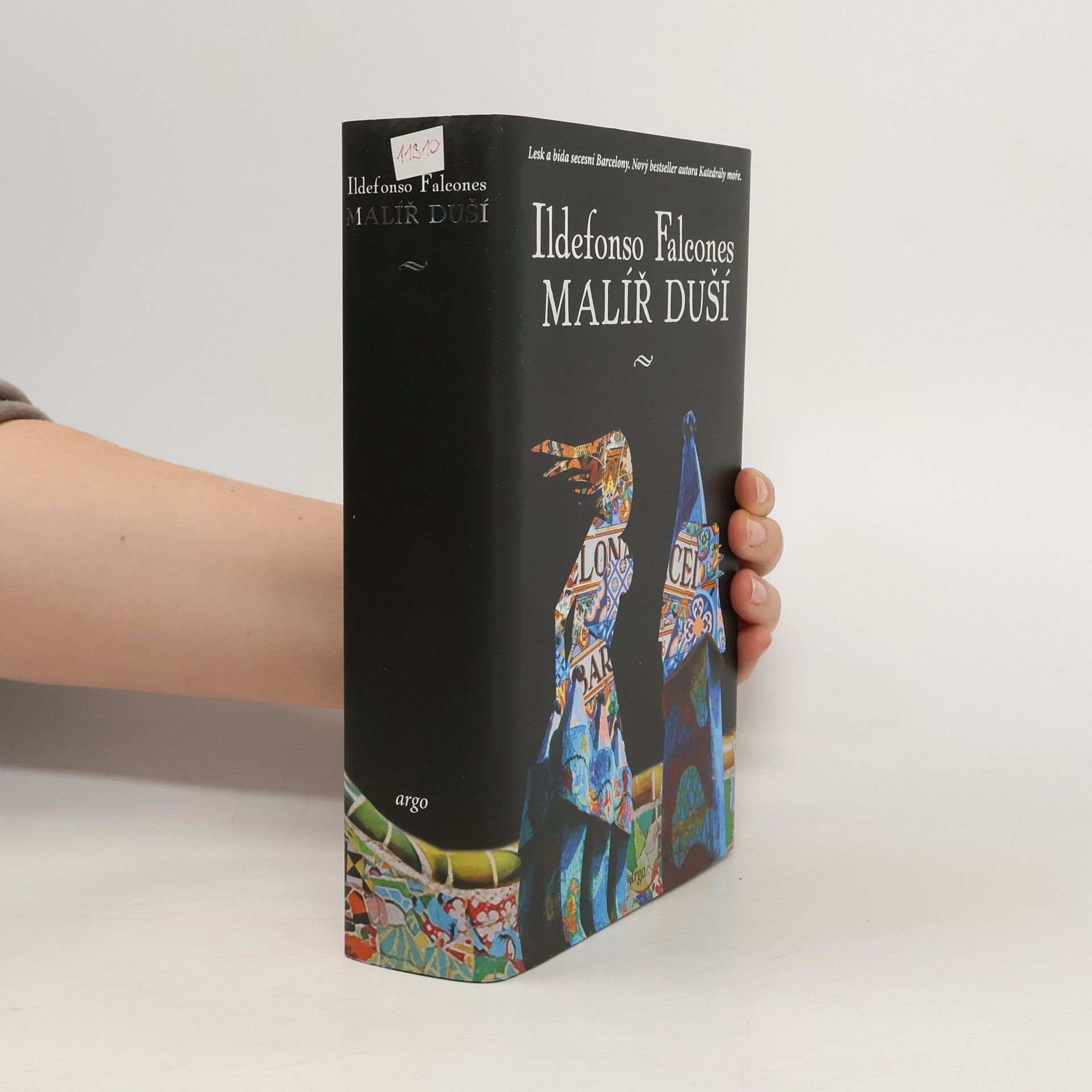 Ildefonso Falcones Malíř duší