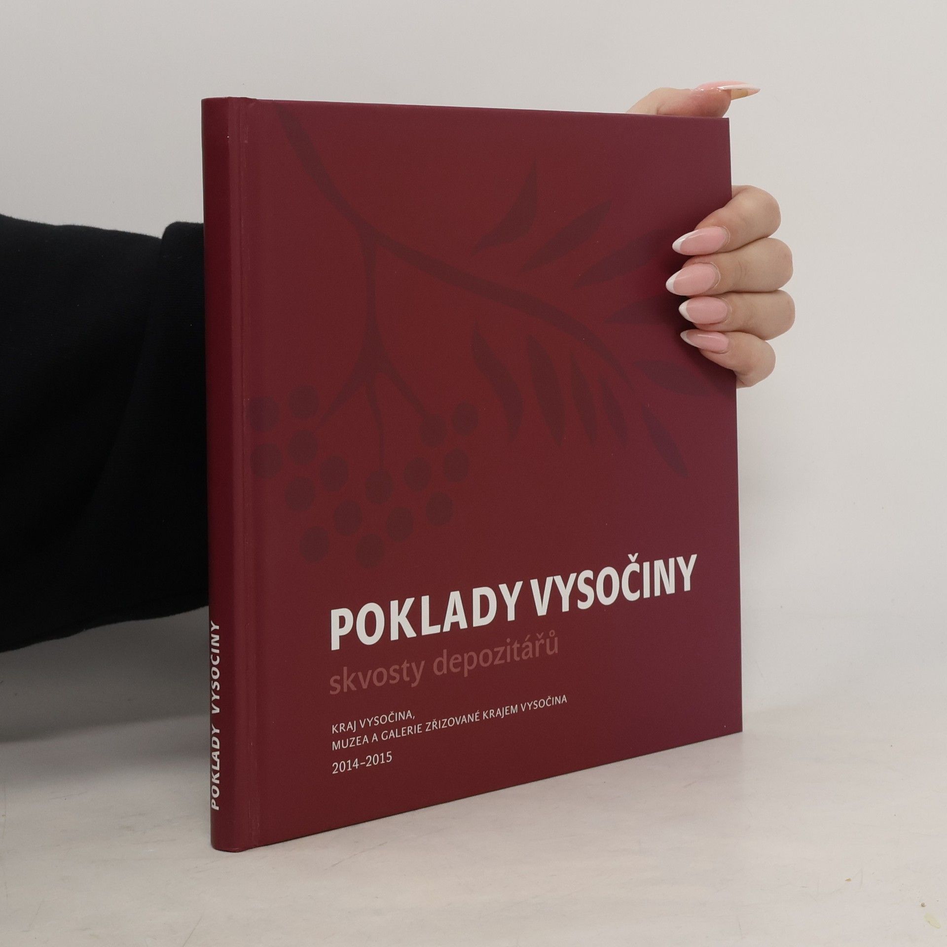 Karel Malý Poklady Vysočiny. Skvosty depozitářů