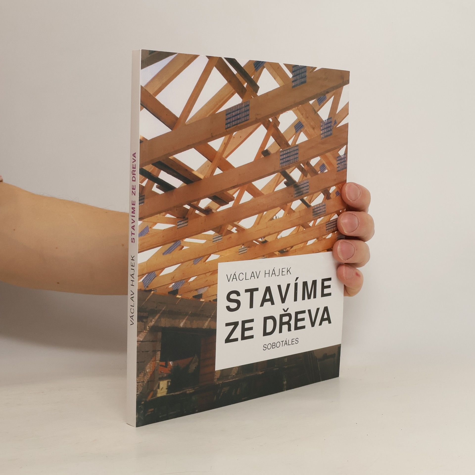 Václav Hájek Stavíme ze dřeva