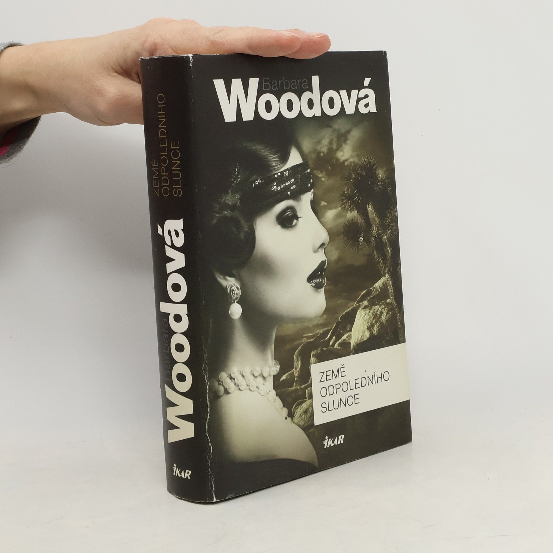 Barbara Wood Země odpoledního slunce