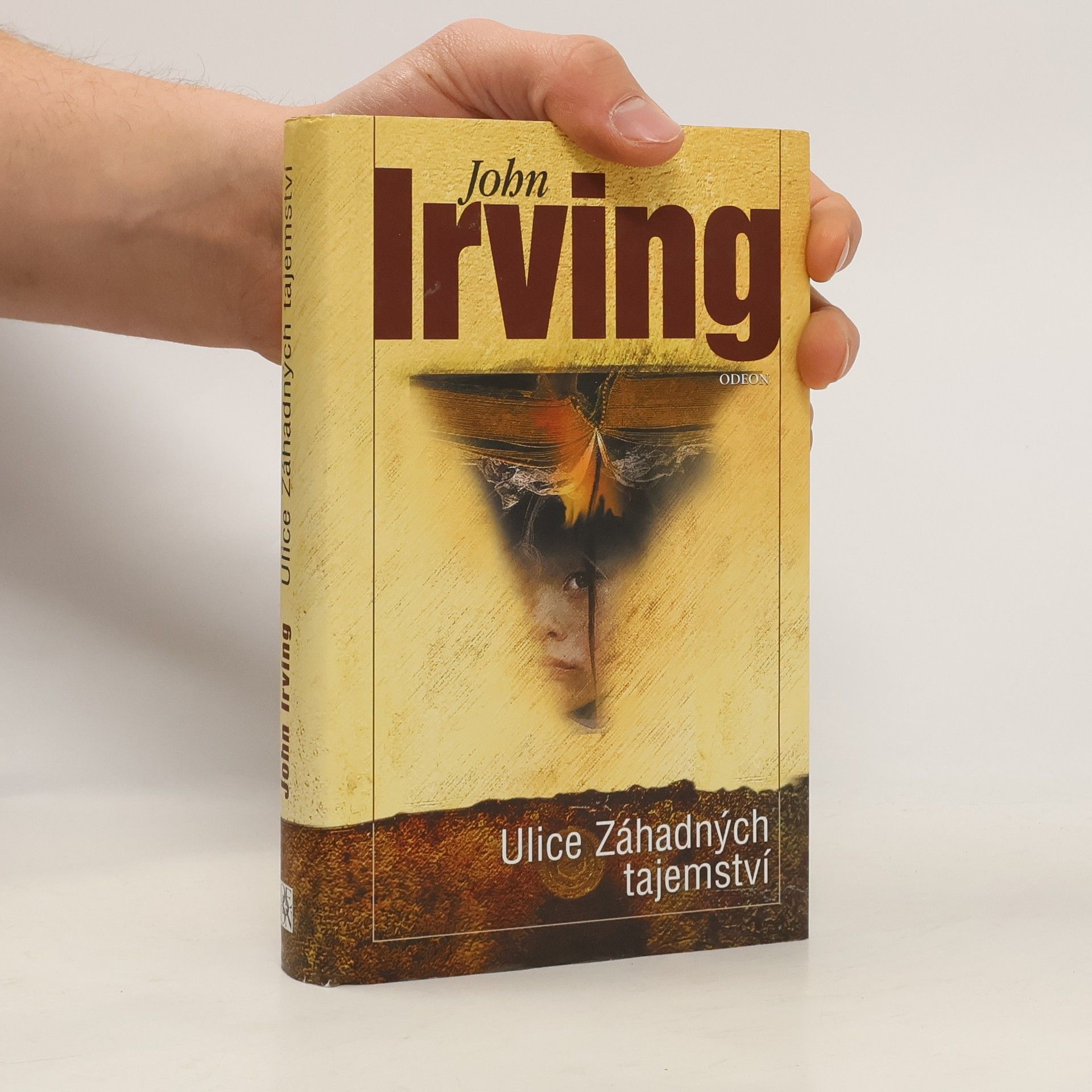 John Irving Ulice Záhadných tajemství
