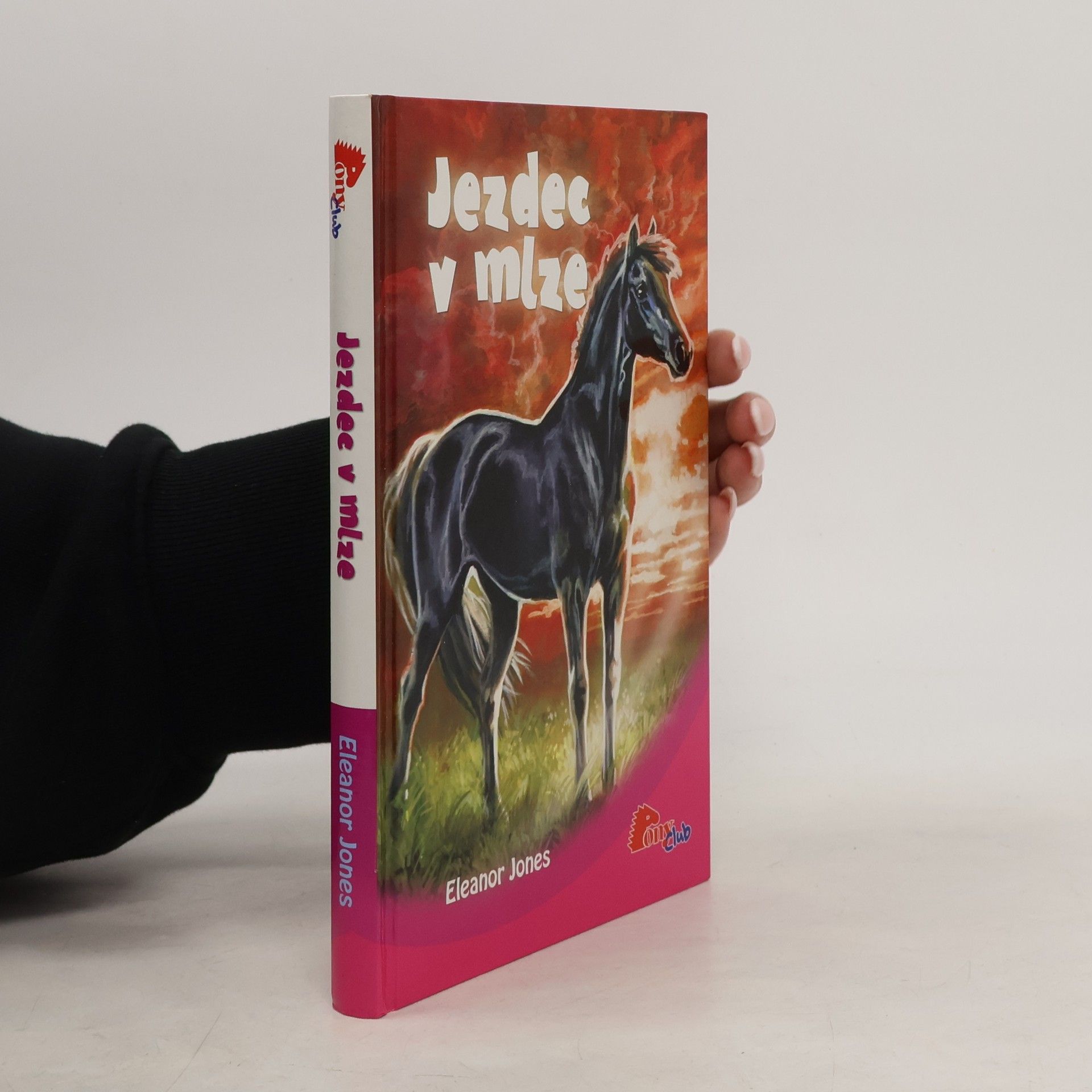 Eleanor Jones Jezdec v mlze
