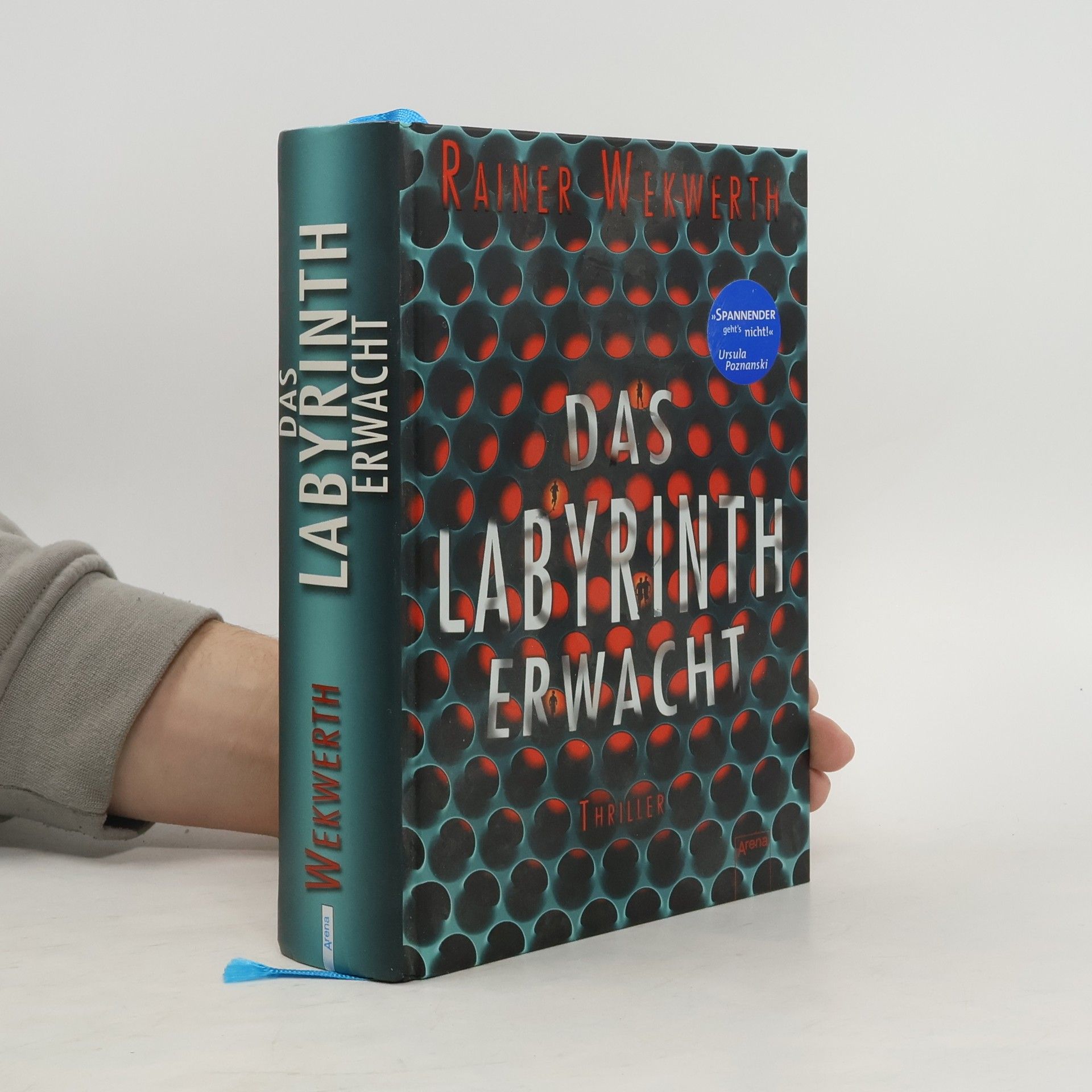 Rainer Wekwerth Das Labyrinth erwacht